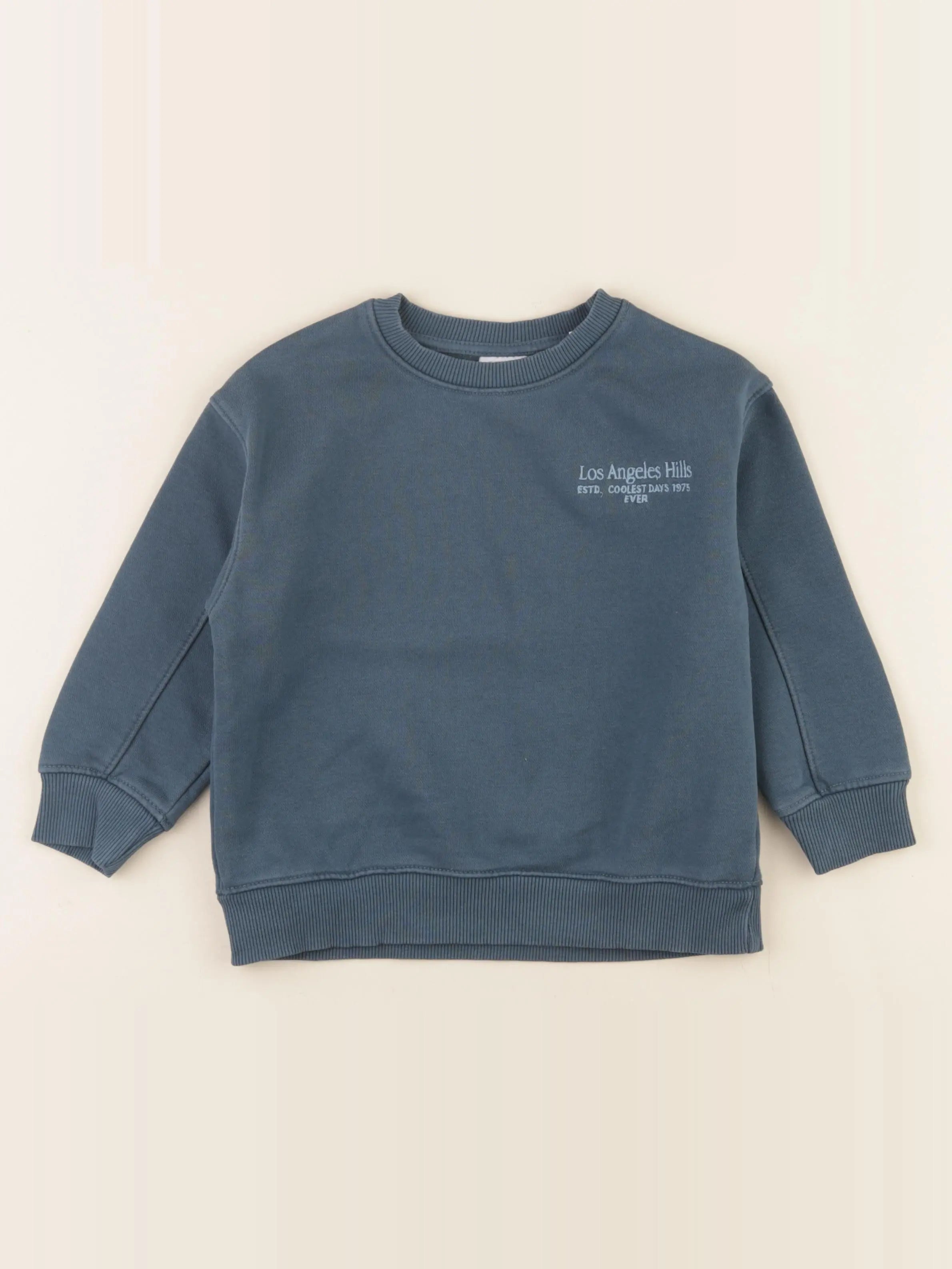 Zara - sweat bleu - 5 ans