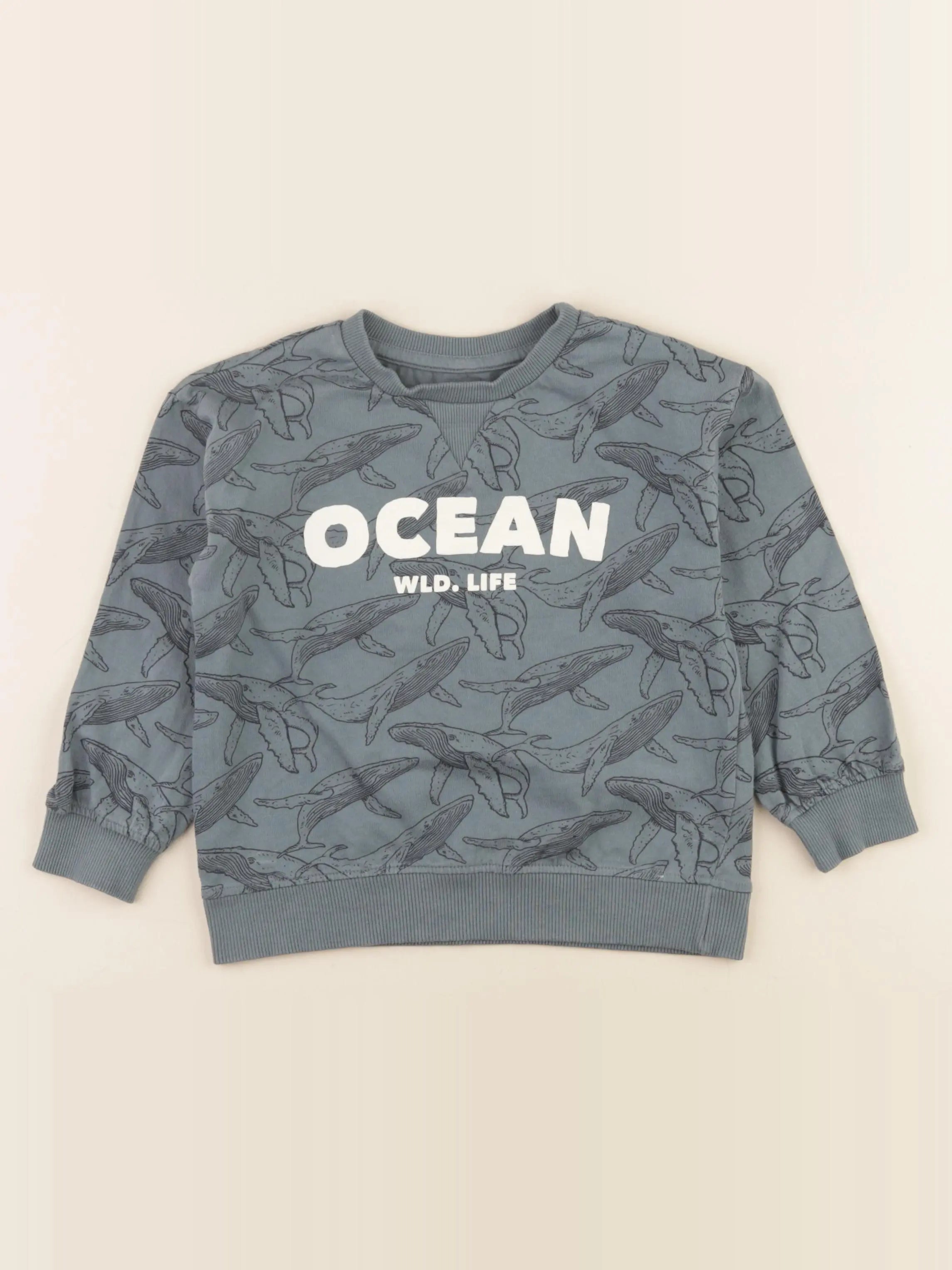 Vertbaudet - sweat vert - 5 ans