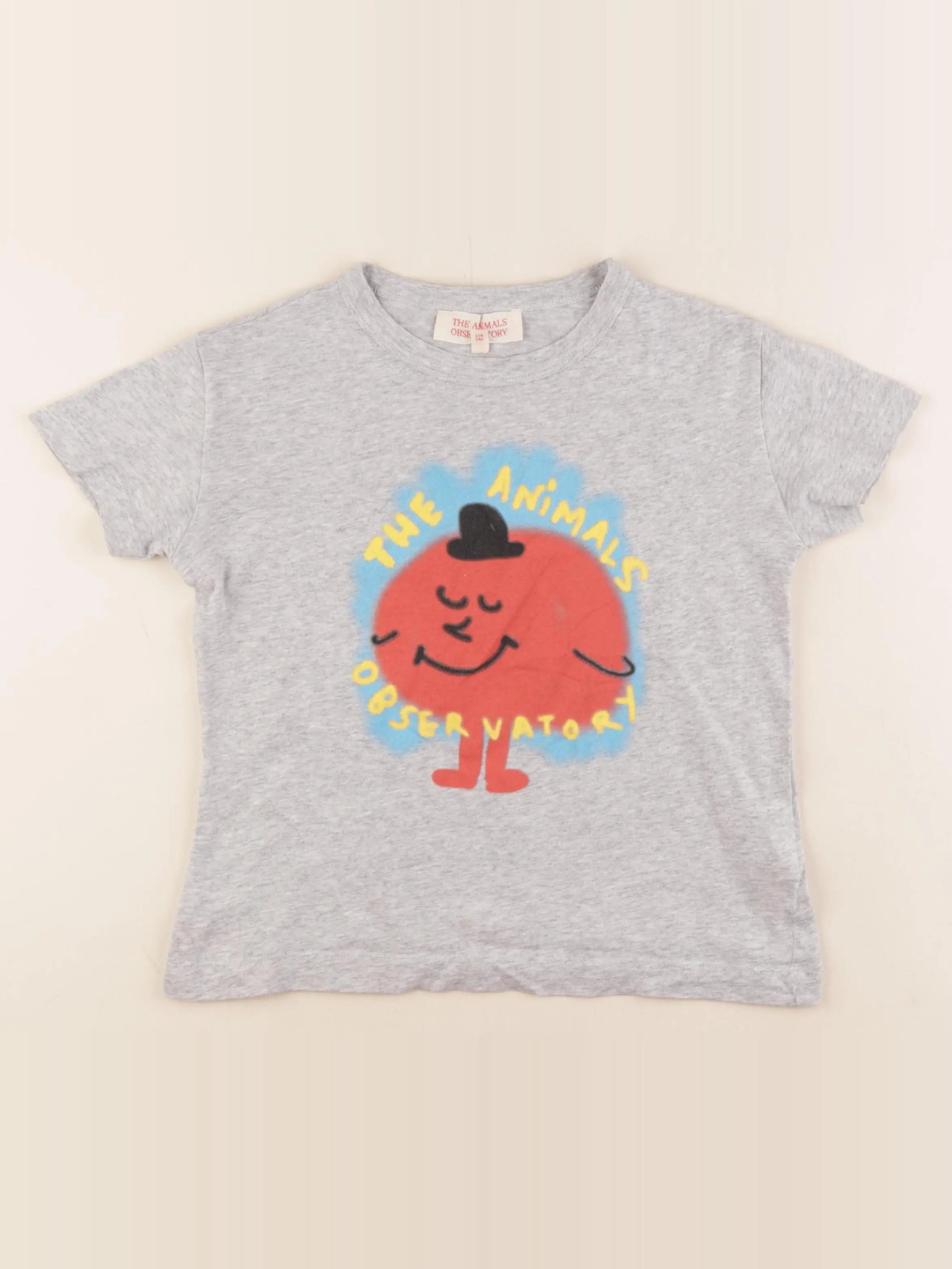 The animals observatory - tee-shirt gris - 5 ans