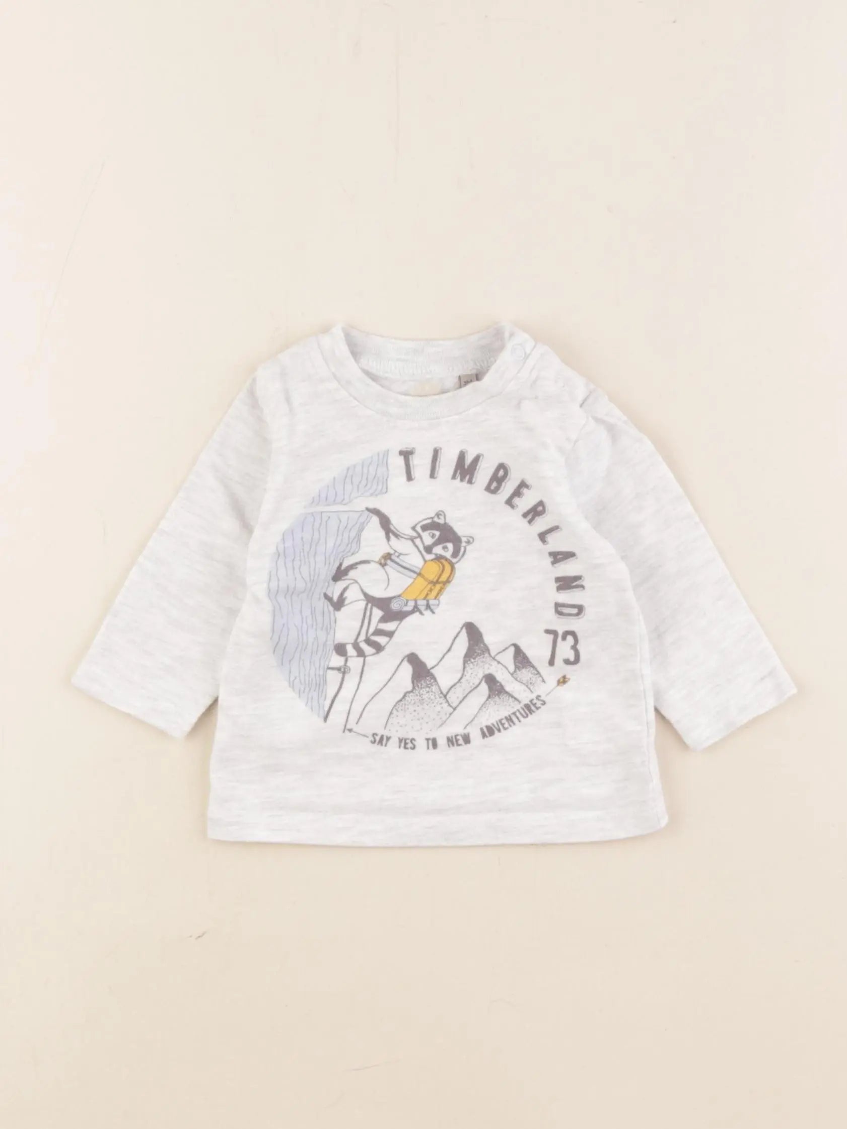 Timberland - tee-shirt gris - 3 mois