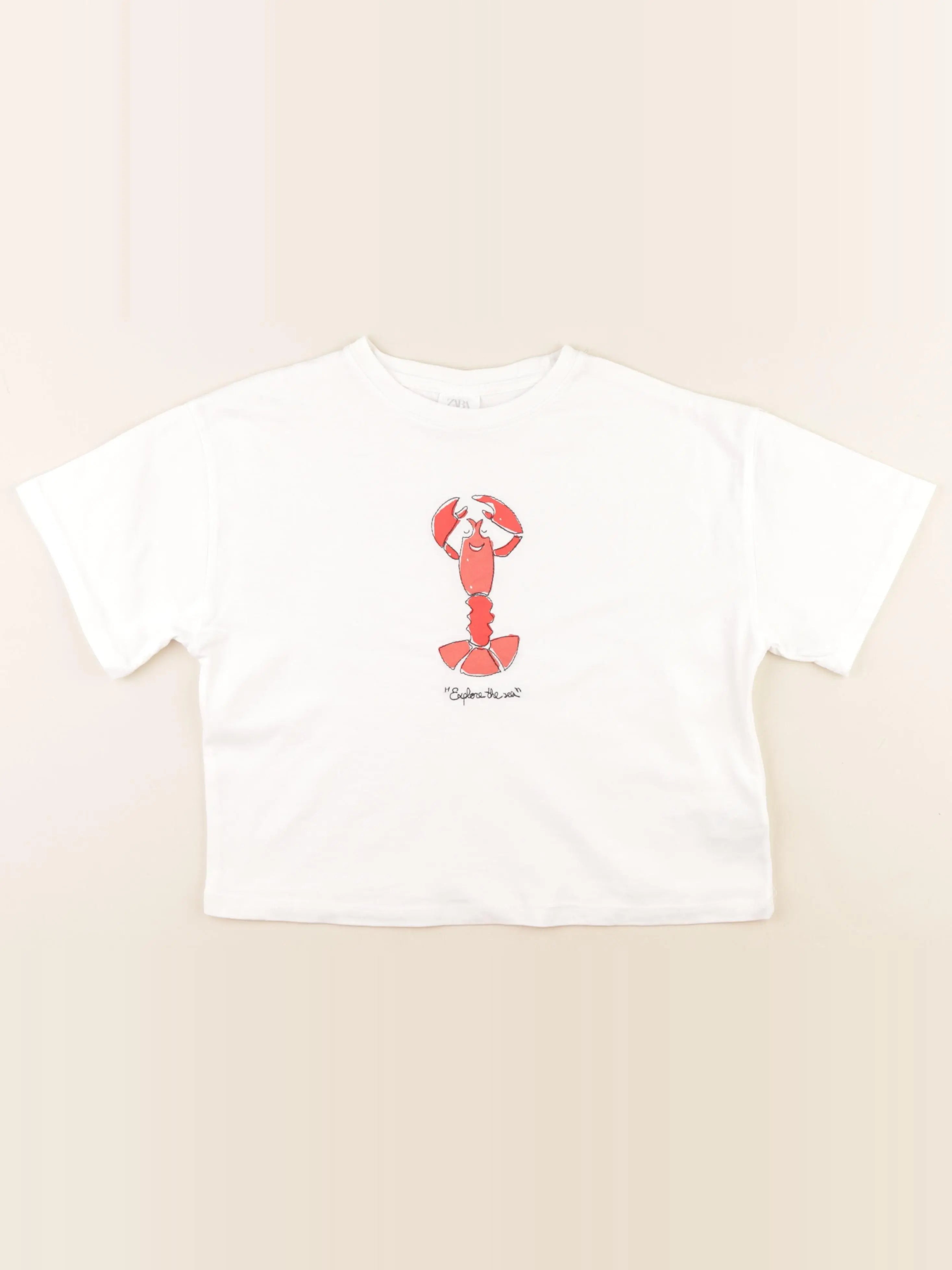 Zara - tee-shirt blanc - 11/12 ans