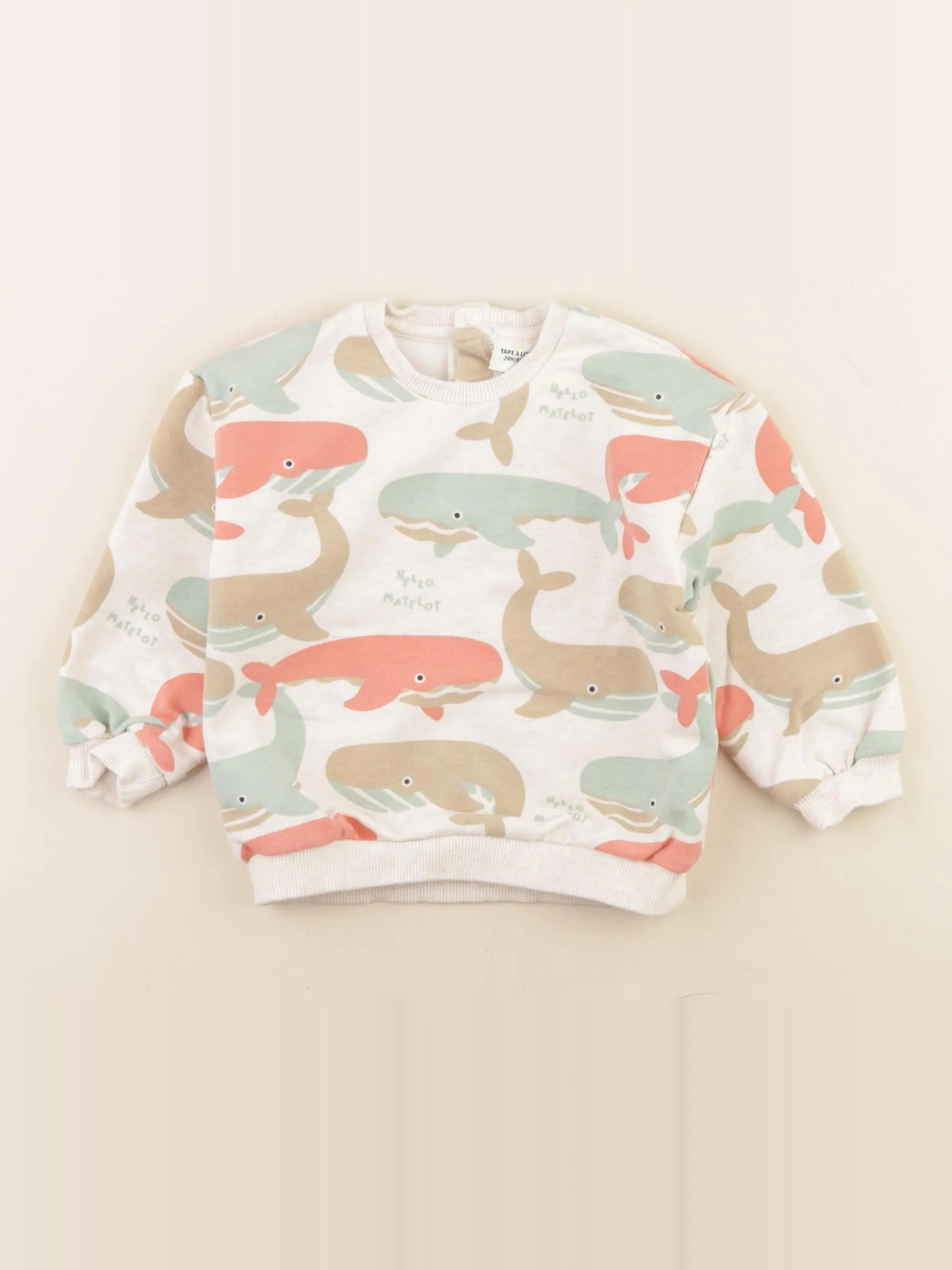 Tape à l'oeil - sweat multicolore - 24 mois