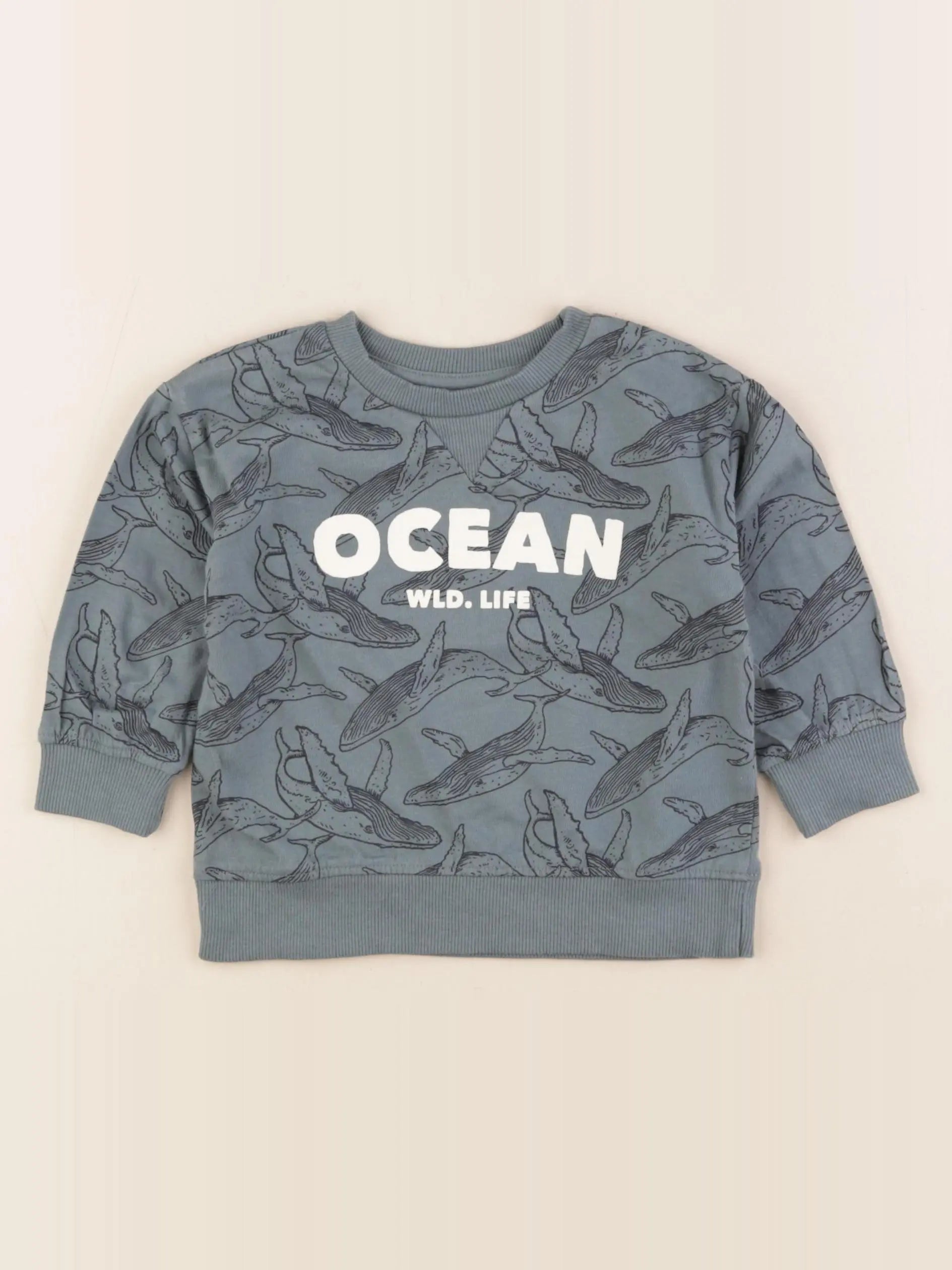 Vertbaudet - tee-shirt vert - 2 ans