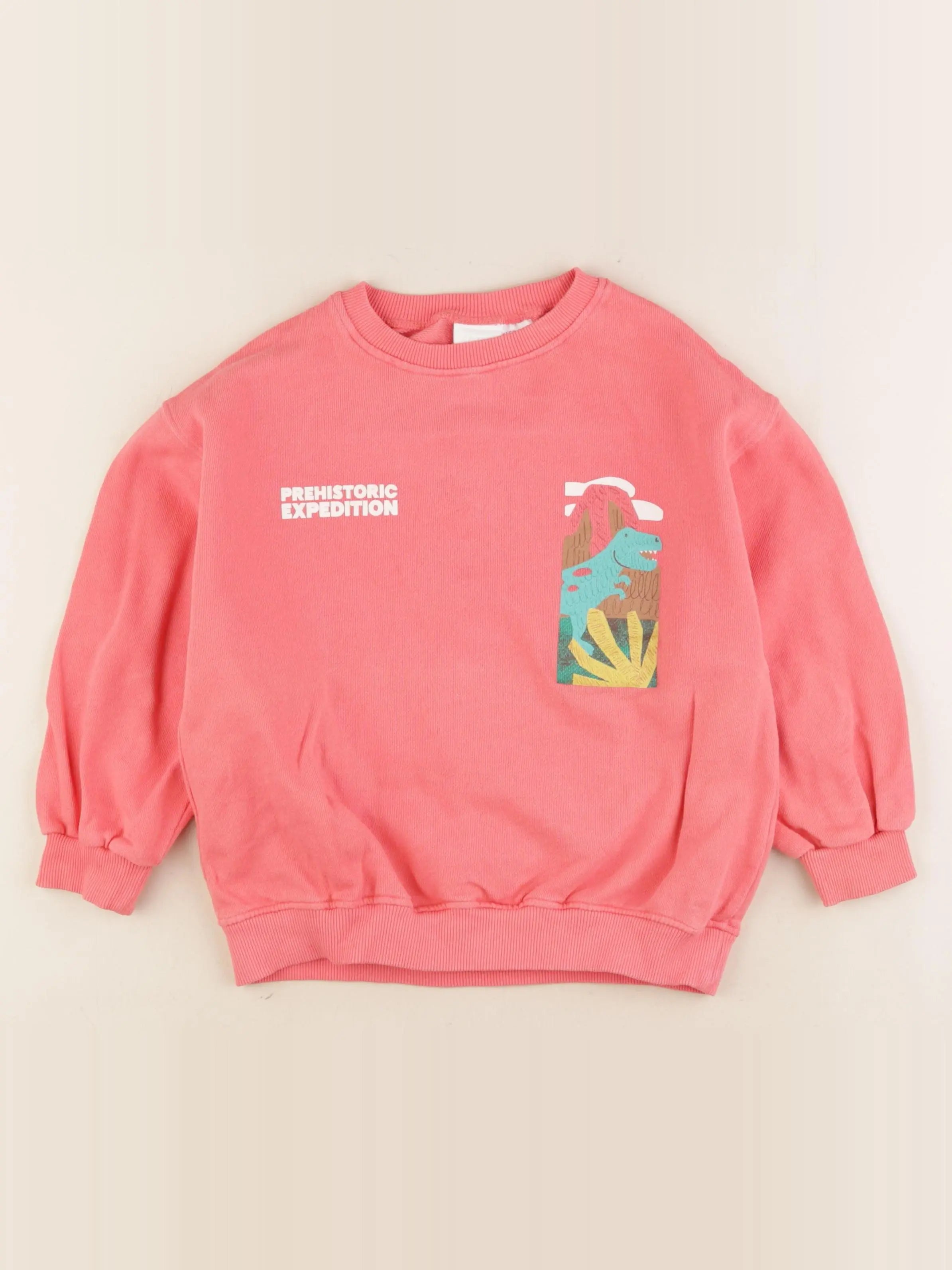 Zara - sweat imprimé au dos rose - 5 ans