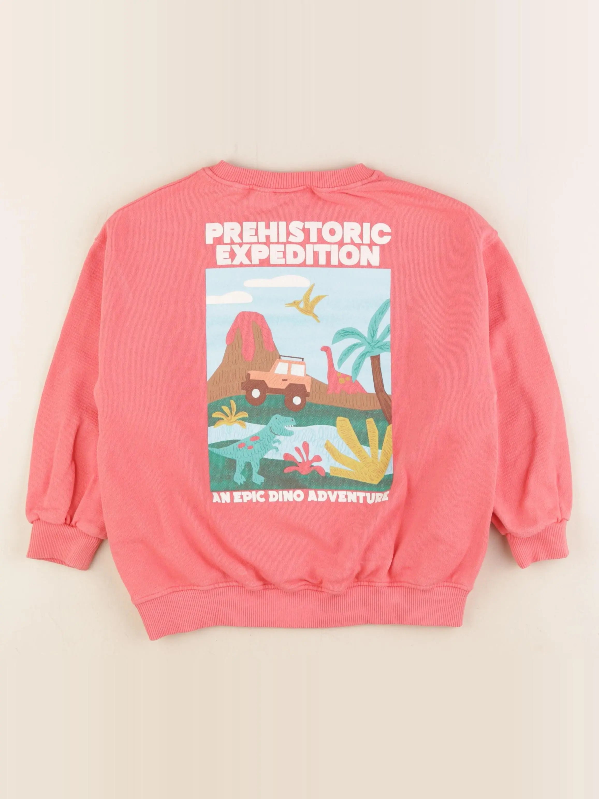 Zara - sweat imprimé au dos rose - 5 ans