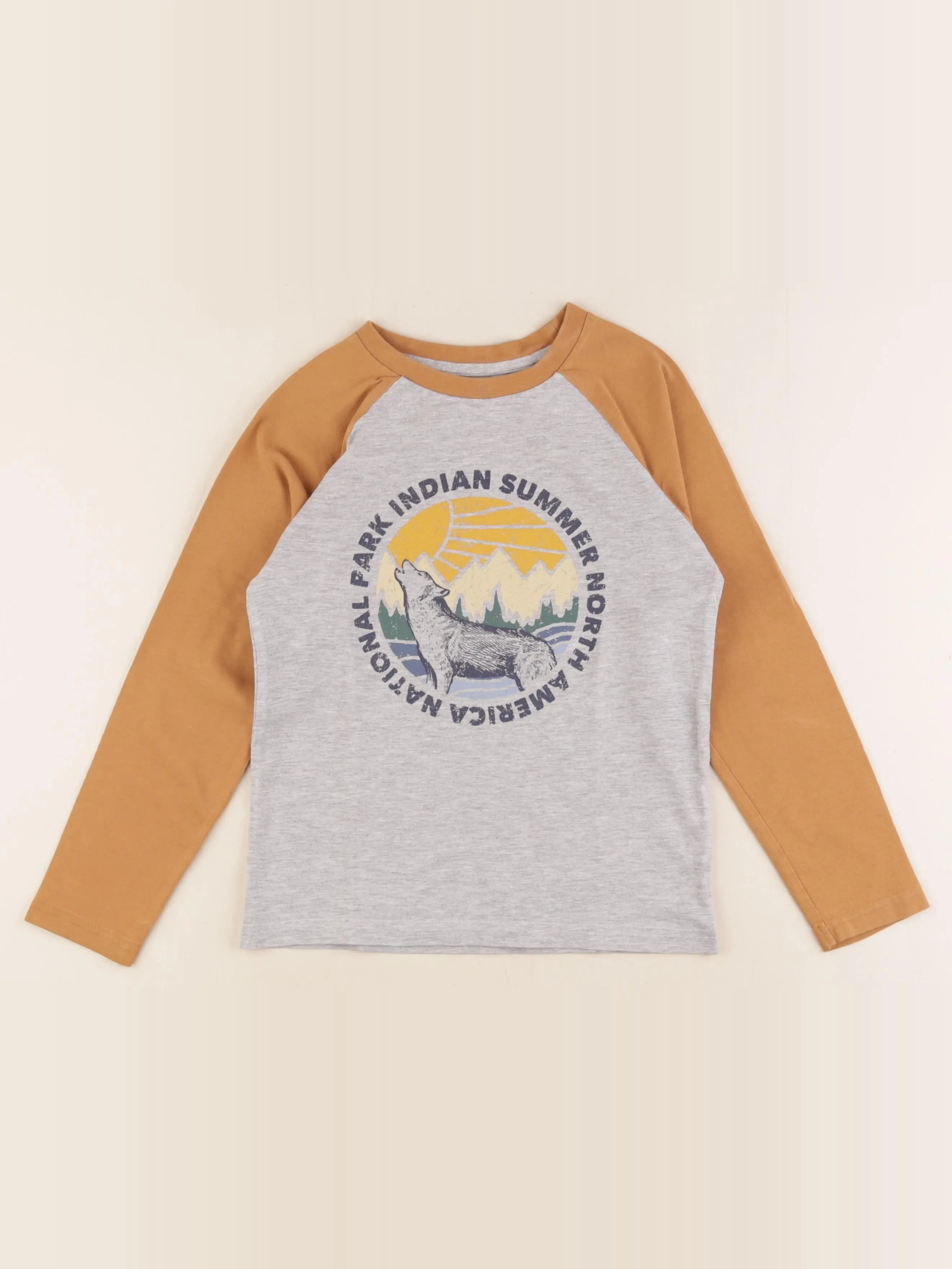 Vertbaudet - tee-shirt gris, jaune - 5 ans