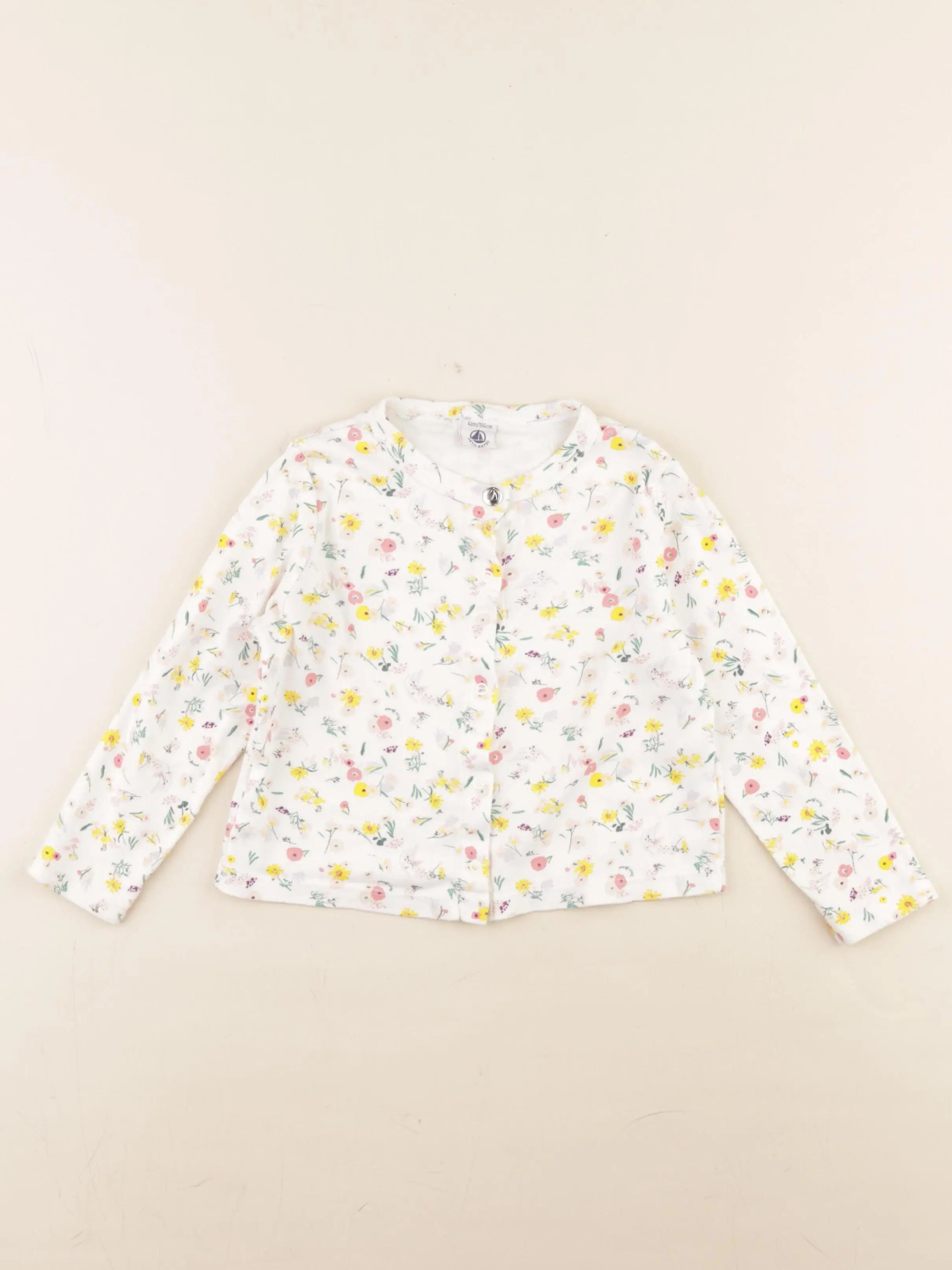 Petit Bateau - tee-shirt multicolore - 4 ans