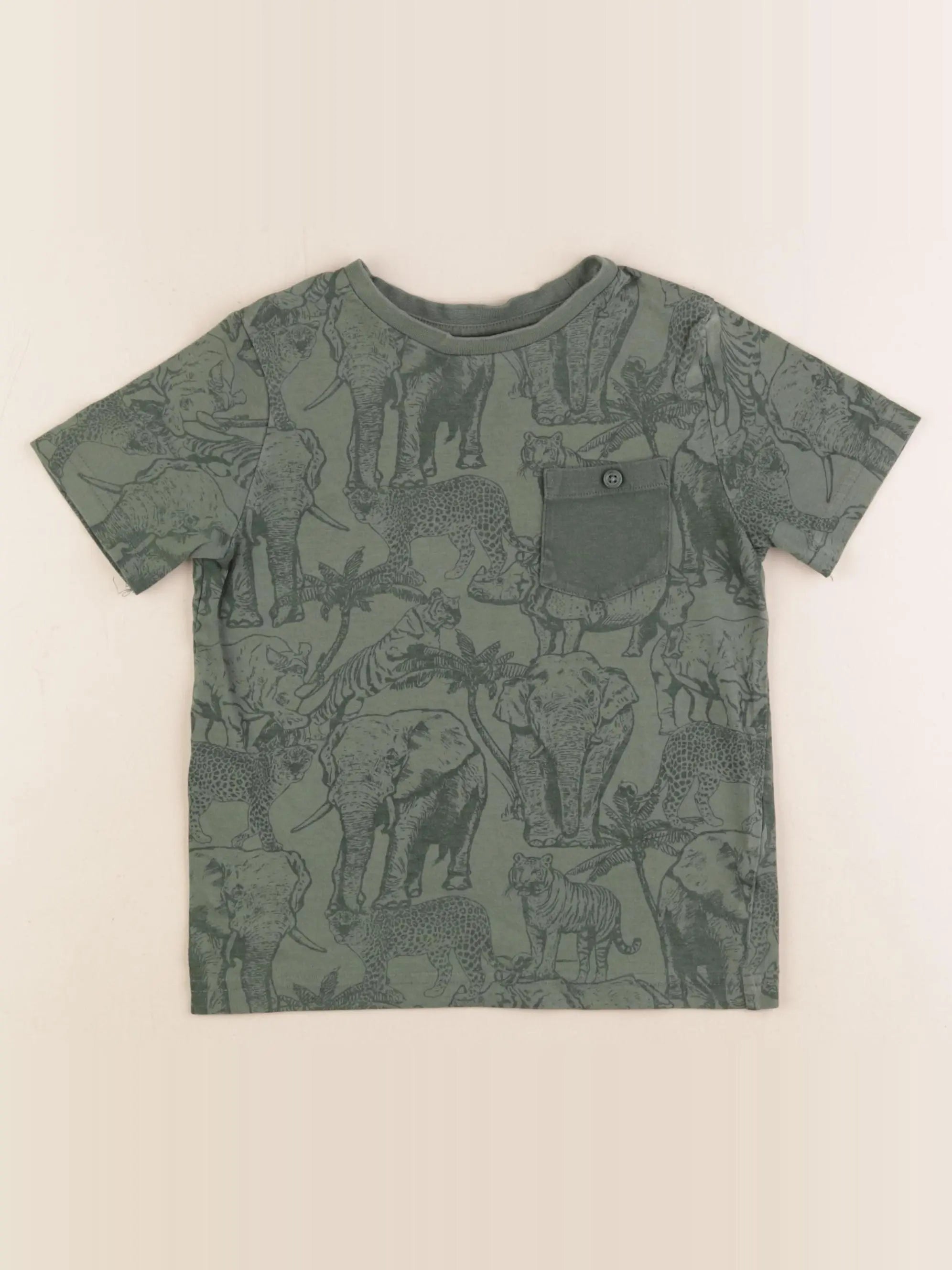 Vertbaudet - tee-shirt vert - 5 ans