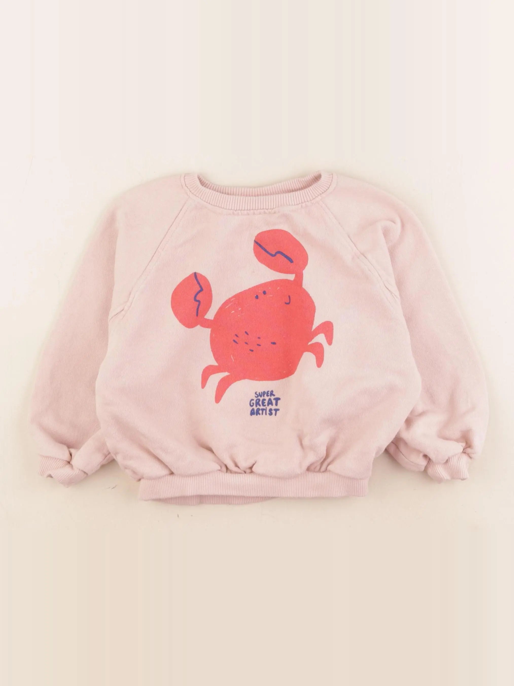 Zara - sweat imprimé au dos rose - 2 ans