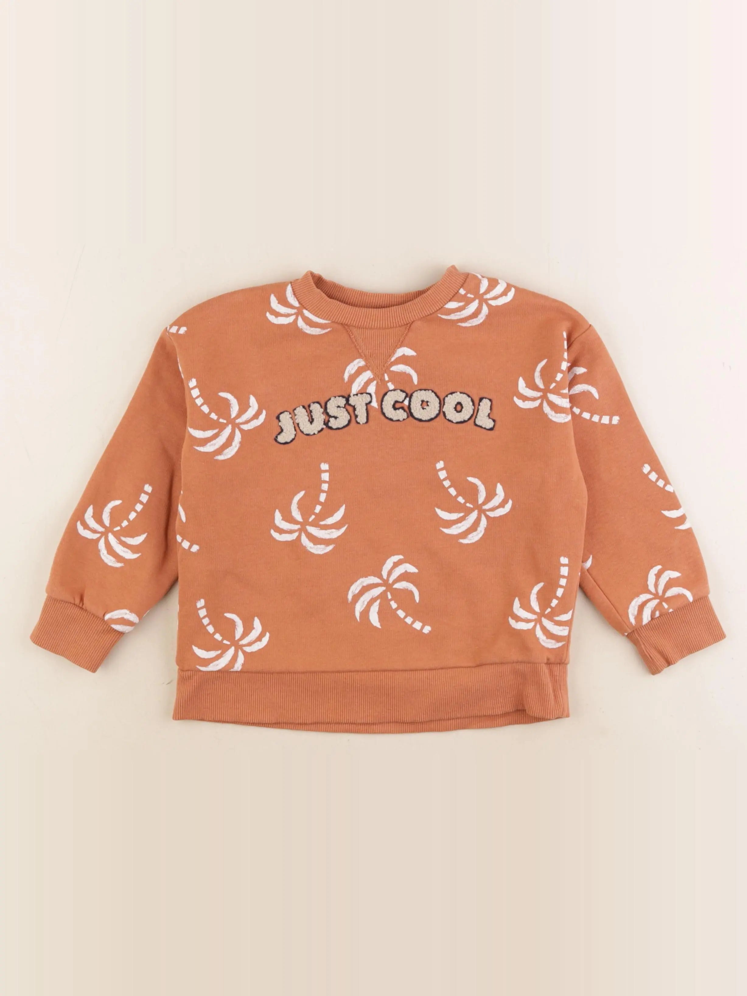 Vertbaudet - sweat marron - 4 ans