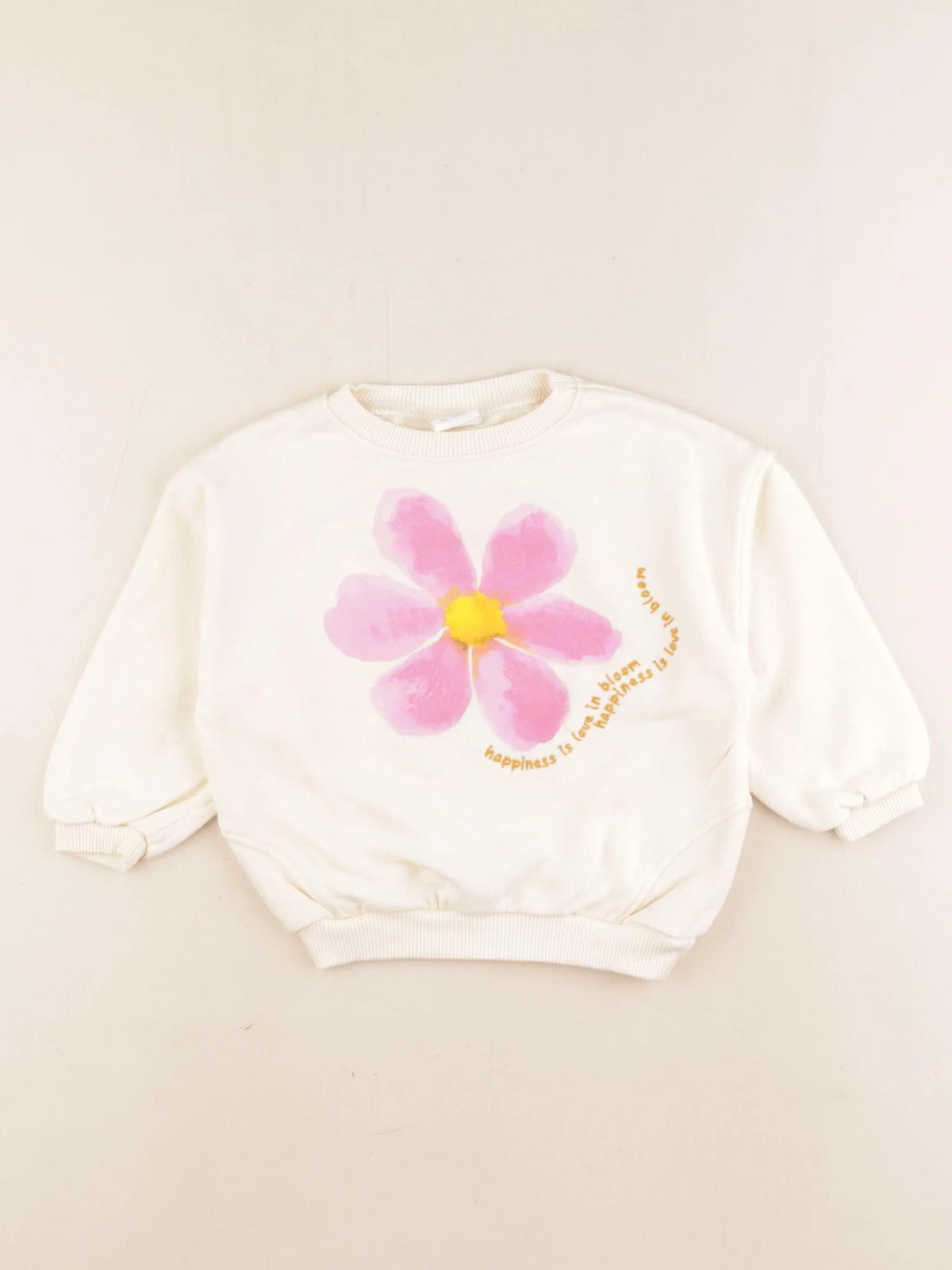 Zara - sweat imprimé au dos beige, rose - 2 ans