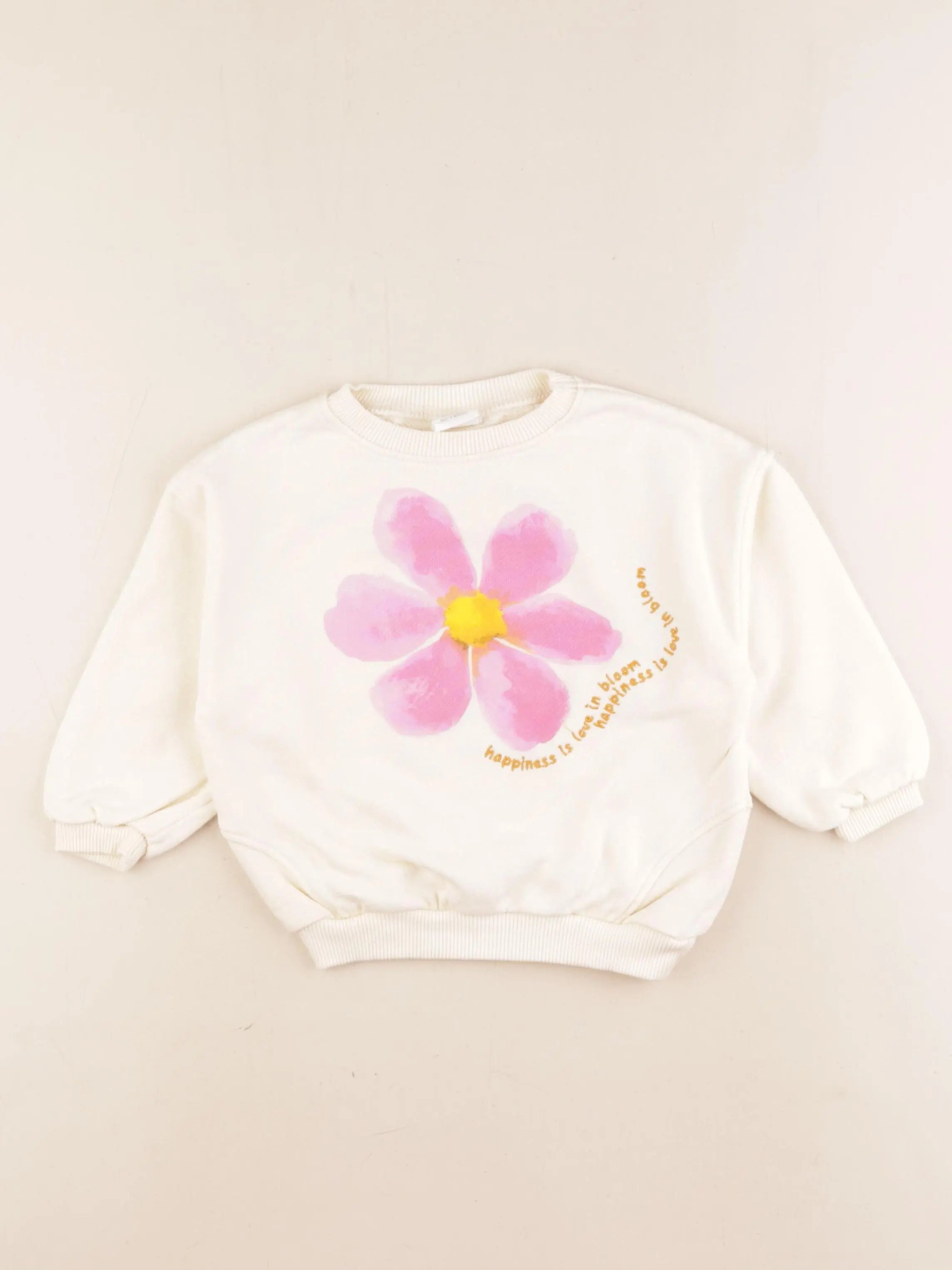 Zara - sweat imprimé au dos beige, rose - 2 ans