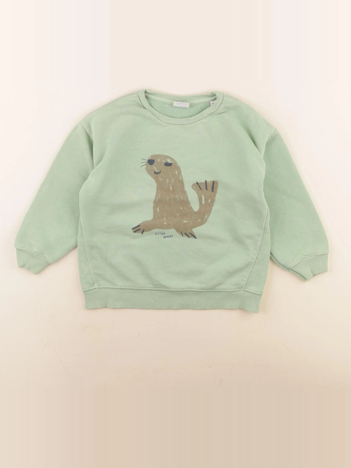 Zara - sweat vert - 4/5 ans