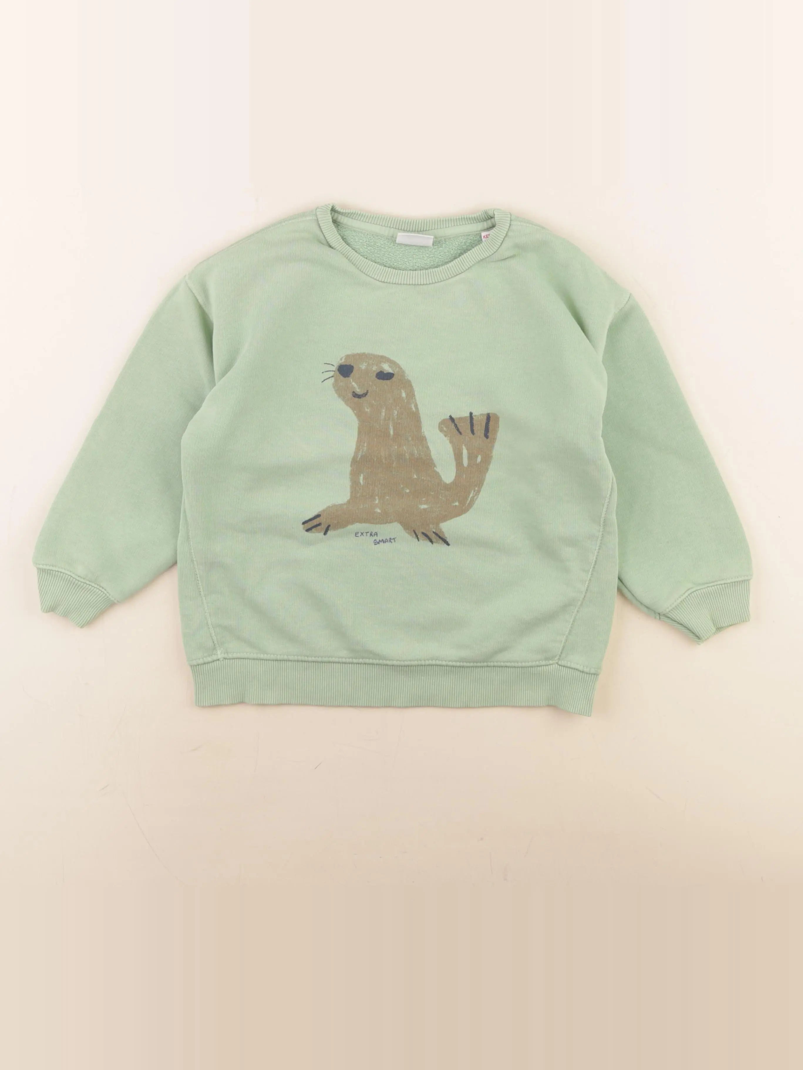 Zara - sweat vert - 4/5 ans