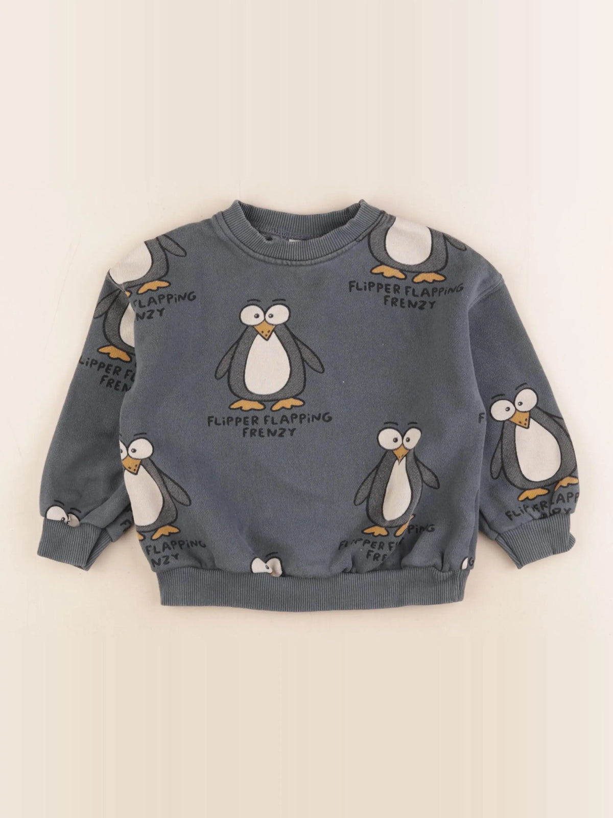 Zara - sweat bleu - 4 ans