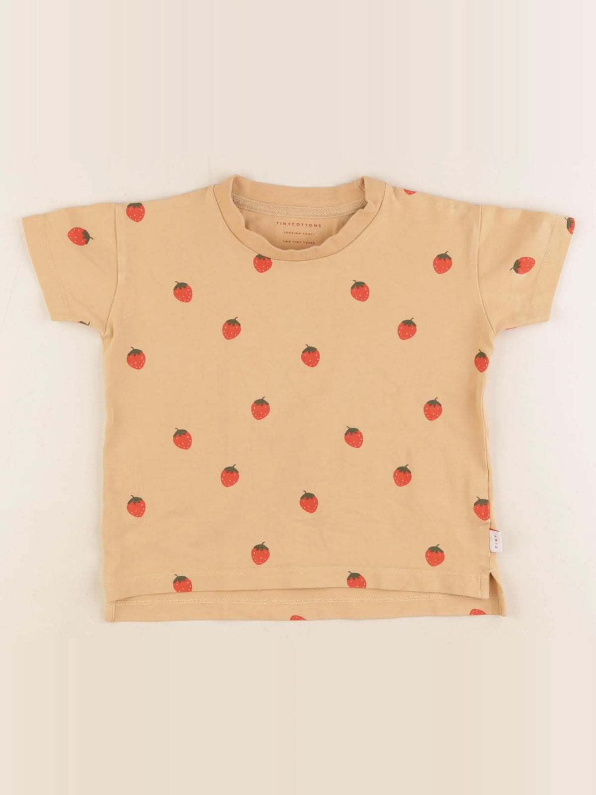 Tiny Cottons - tee-shirt marron - 2 ans