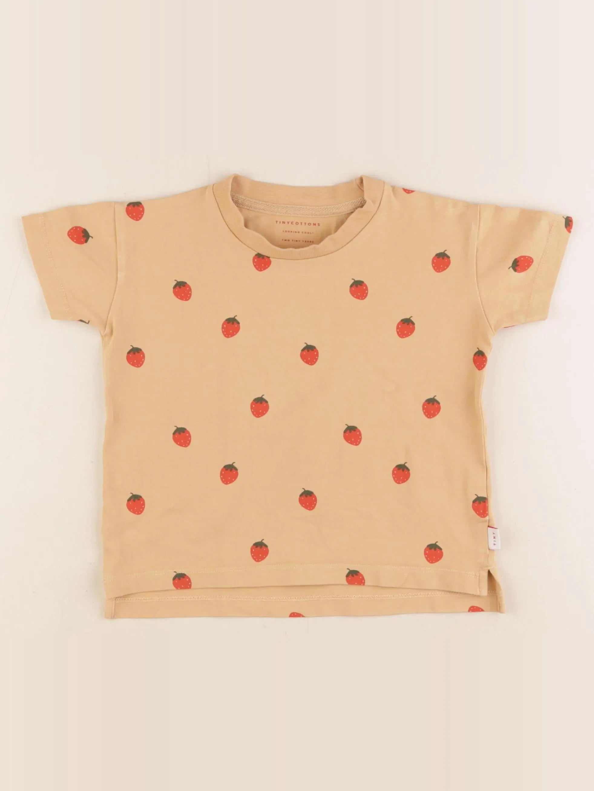 Tiny Cottons - tee-shirt marron - 2 ans