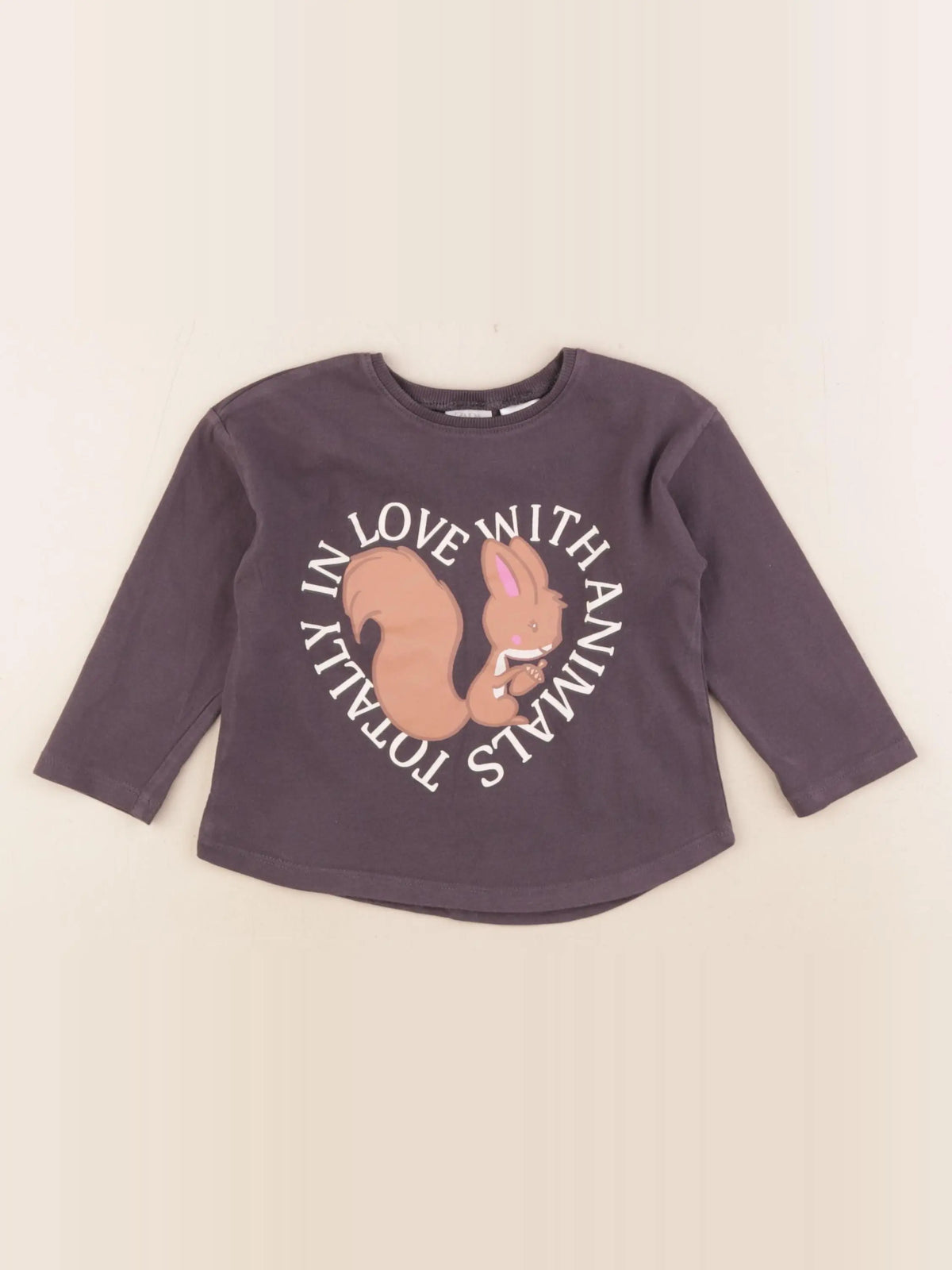 Zara - tee-shirt gris - 18/24 mois