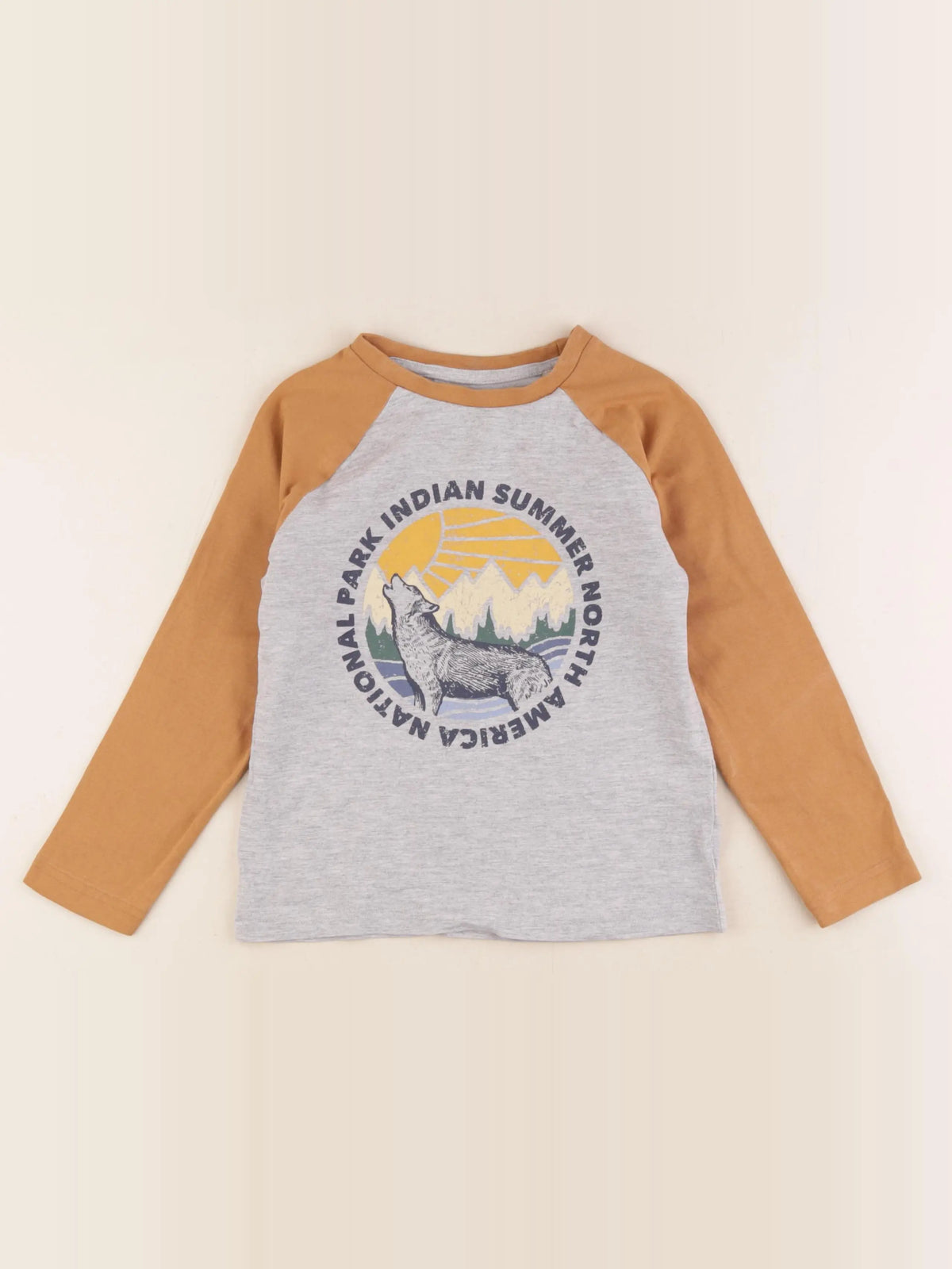 Vertbaudet - tee-shirt gris, marron - 6 ans