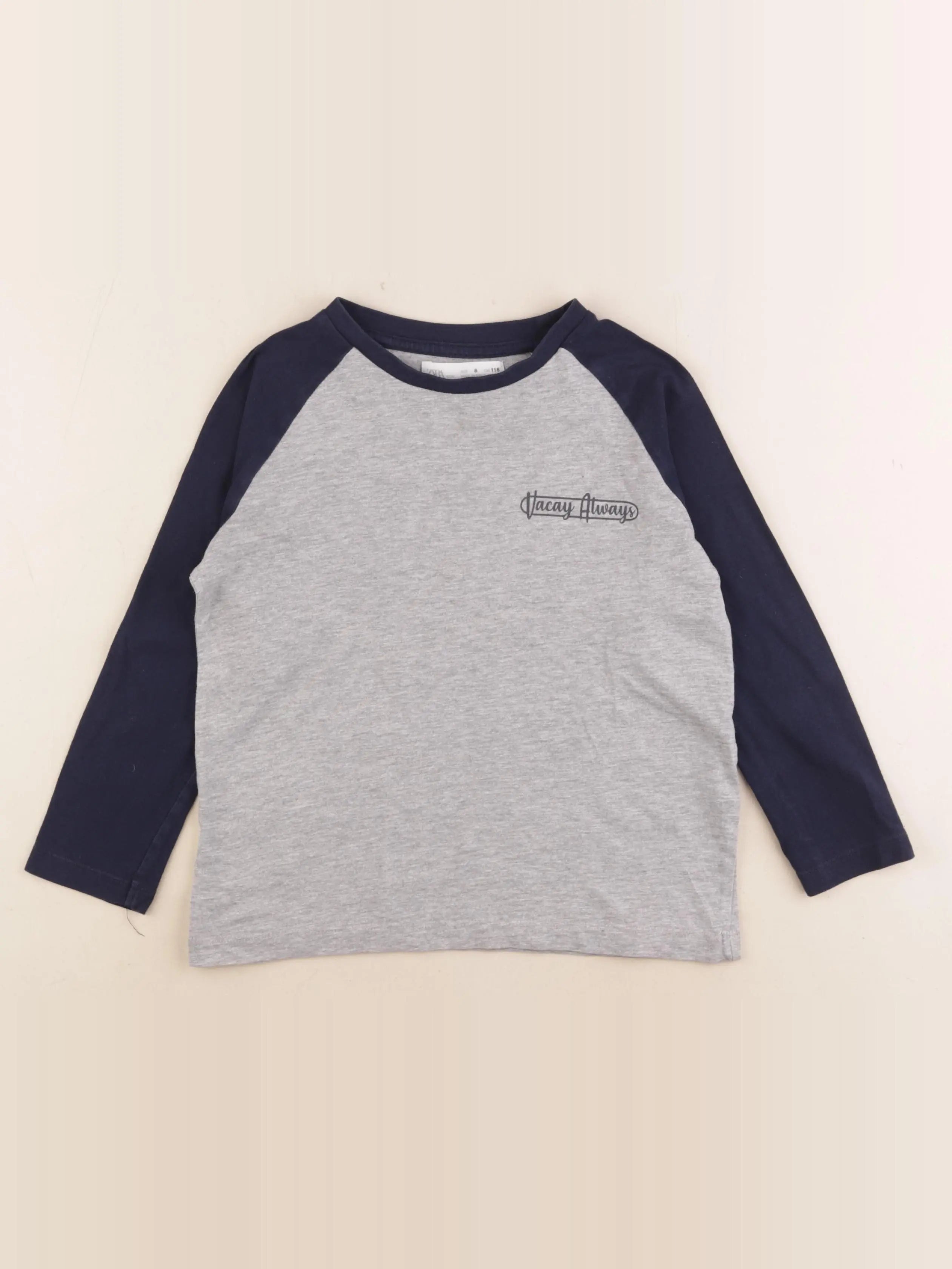 Zara - tee-shirt bleu, gris - 6 ans