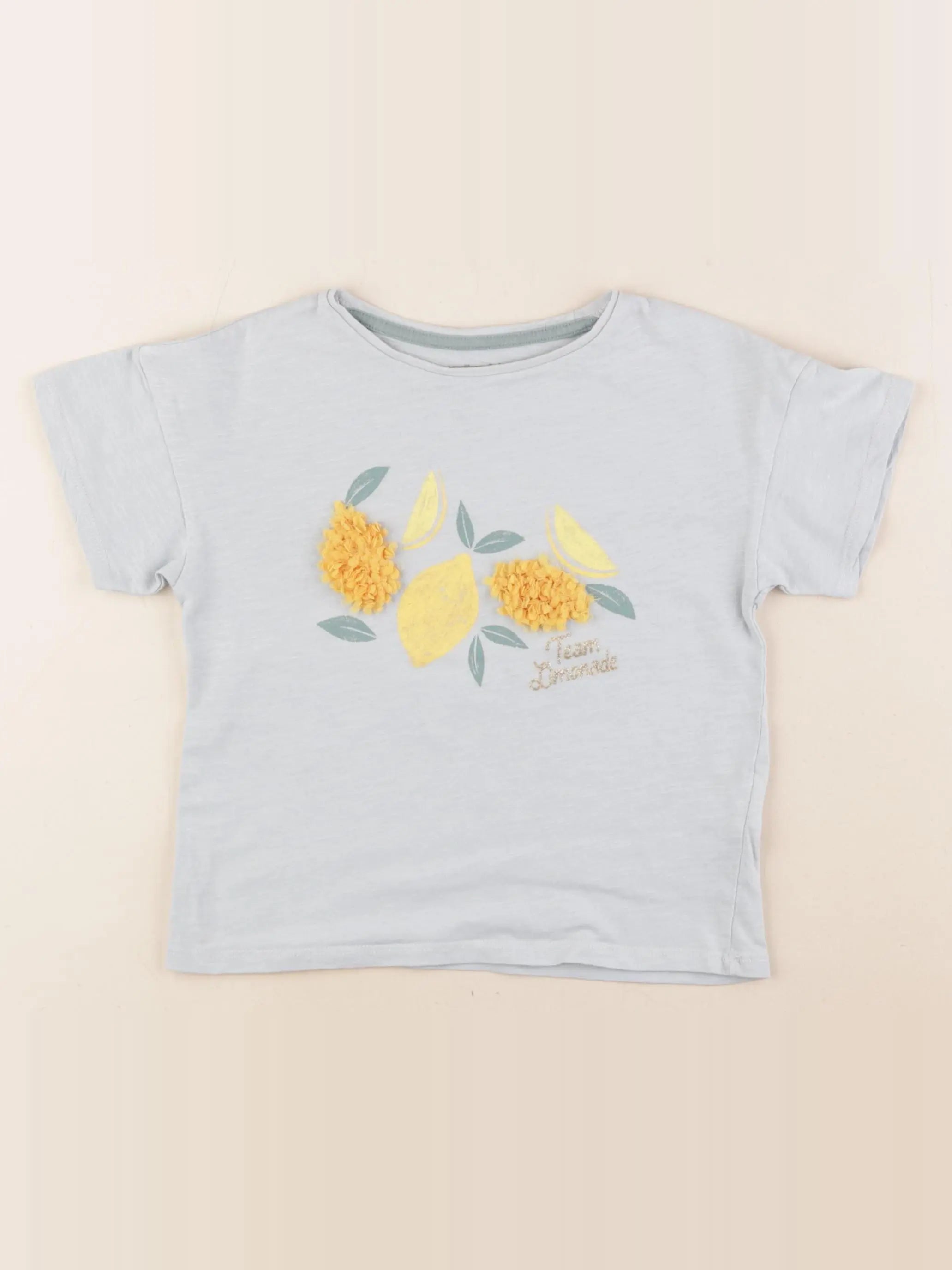 Vertbaudet - tee-shirt bleu - 5 ans