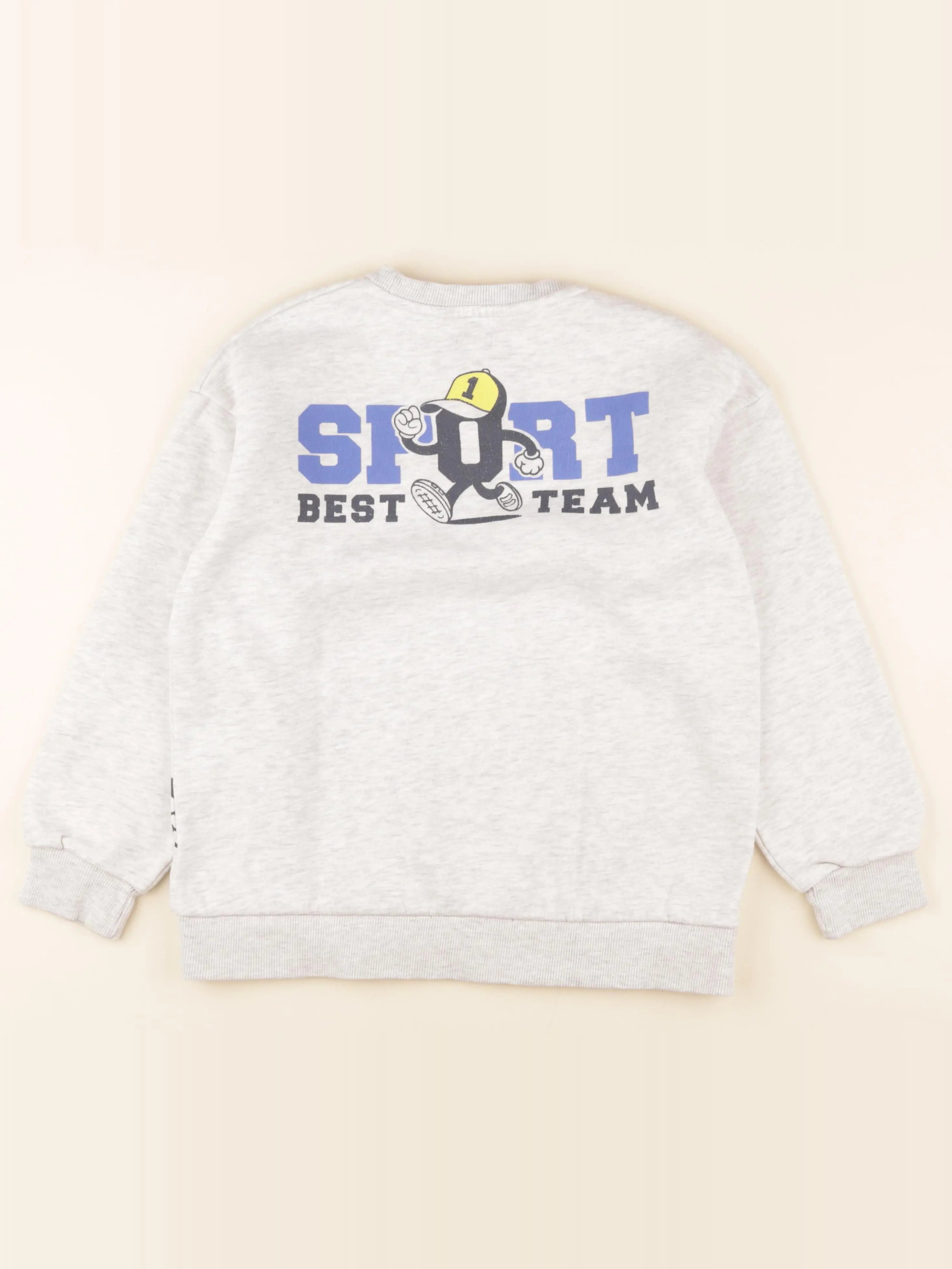 Vertbaudet - sweat imprimé au dos gris - 12 ans