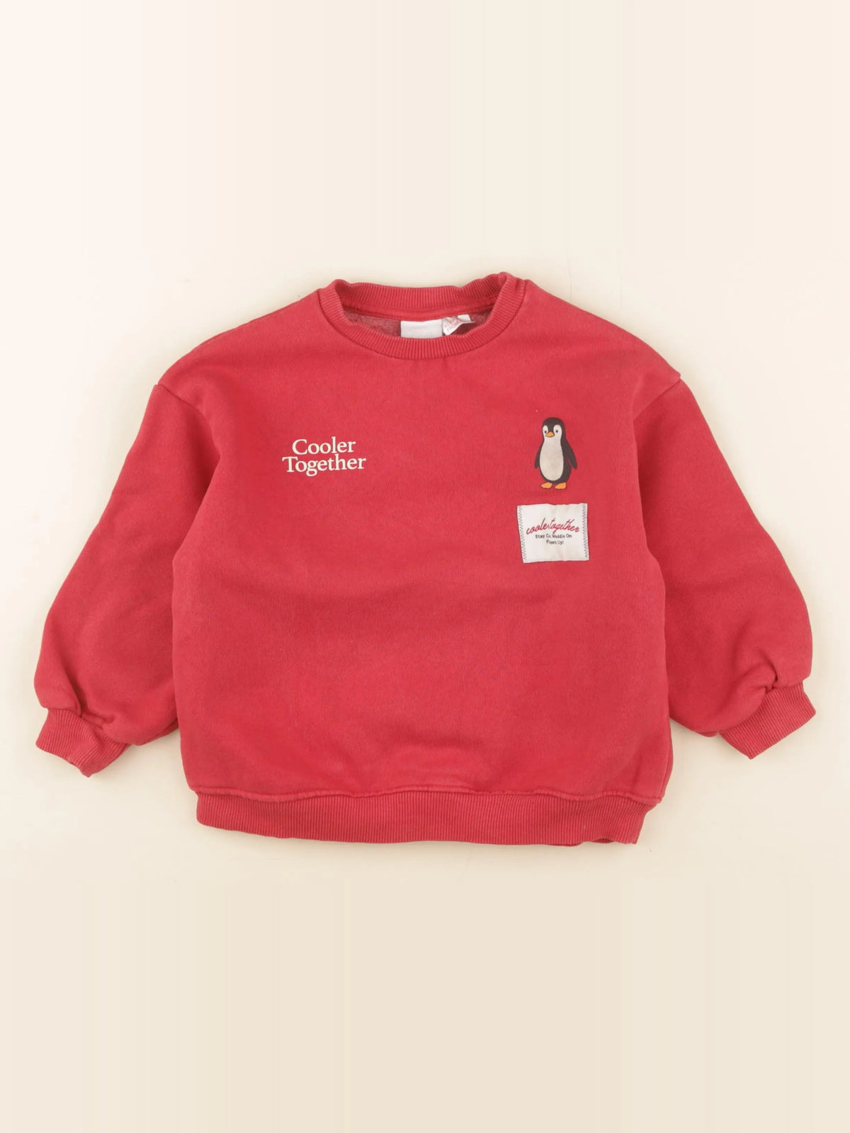 Zara - sweat imprimé au dos rouge - 5 ans