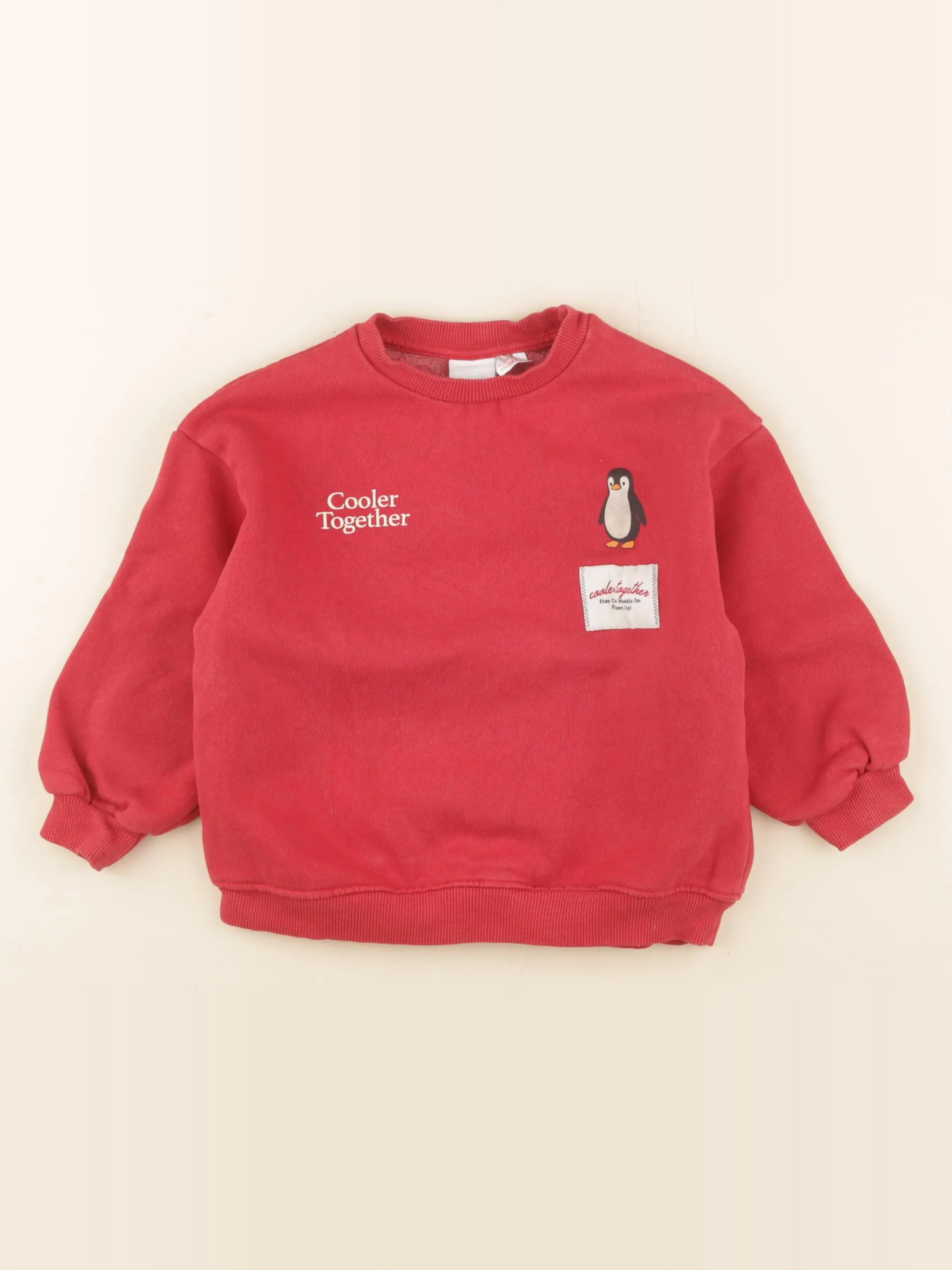 Zara - sweat imprimé au dos rouge - 5 ans