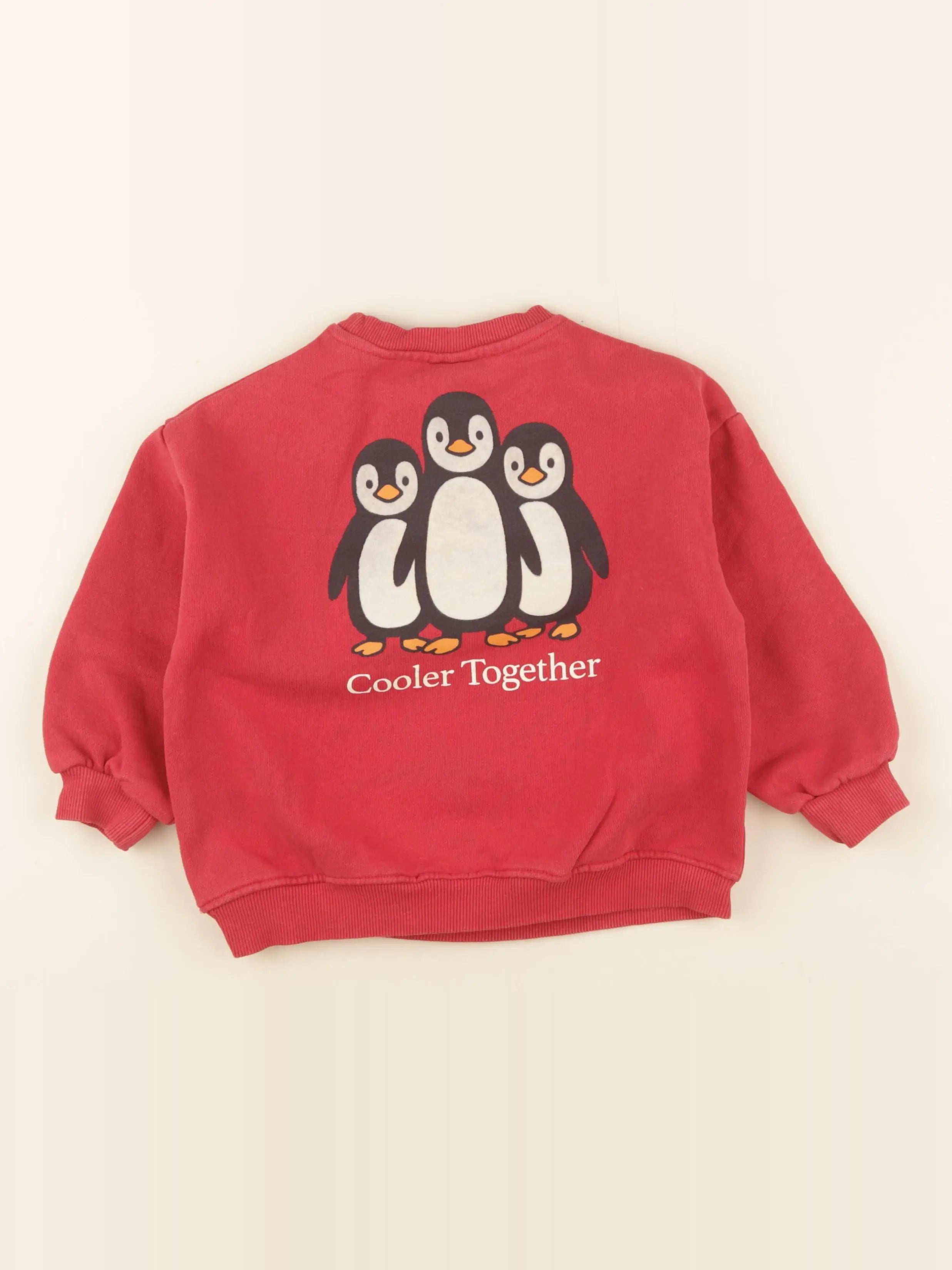 Zara - sweat imprimé au dos rouge - 5 ans