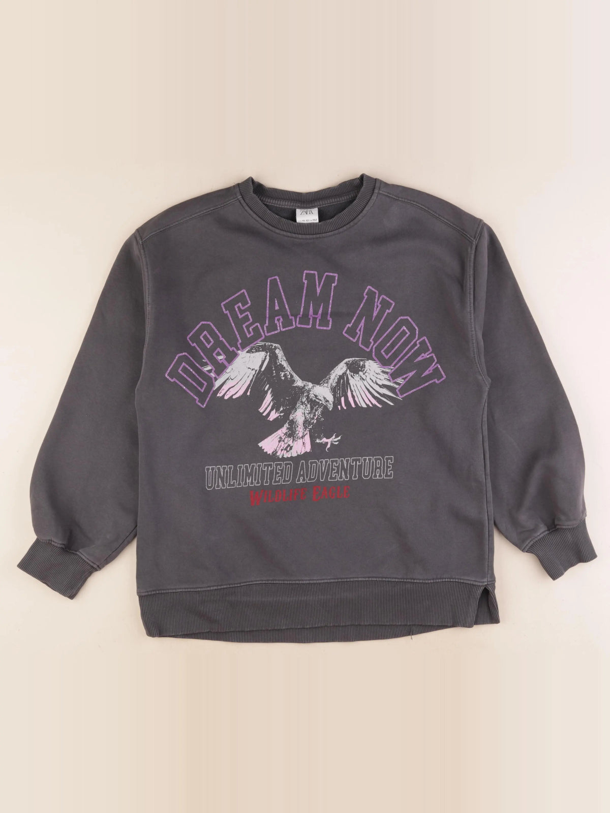 Zara - sweat gris - 11/12 ans