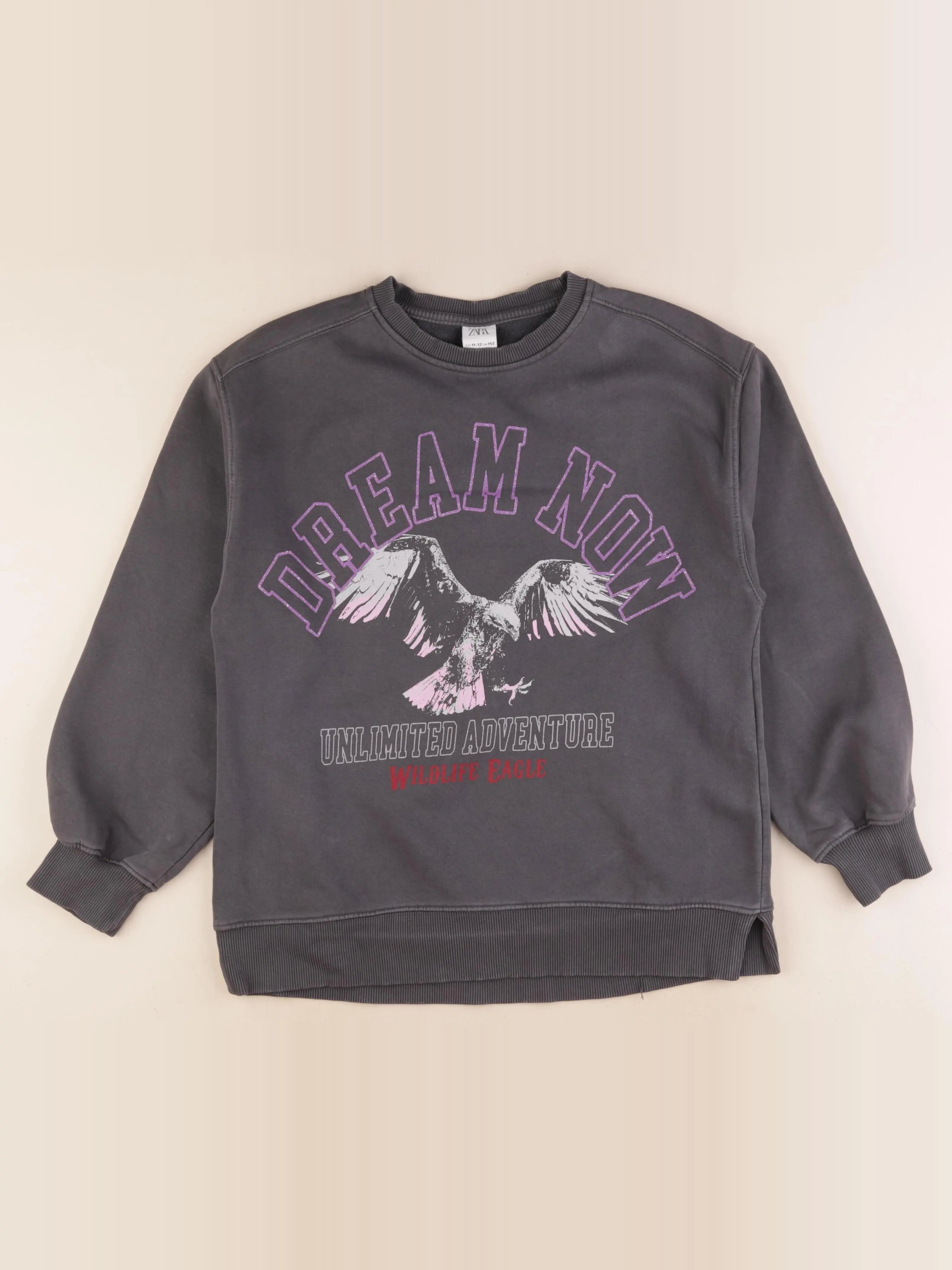 Zara - sweat gris - 11/12 ans