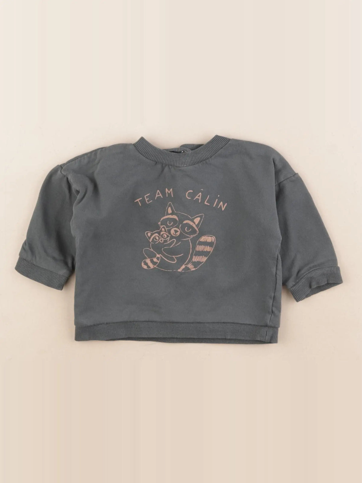 Vertbaudet - sweat vert - 9 mois