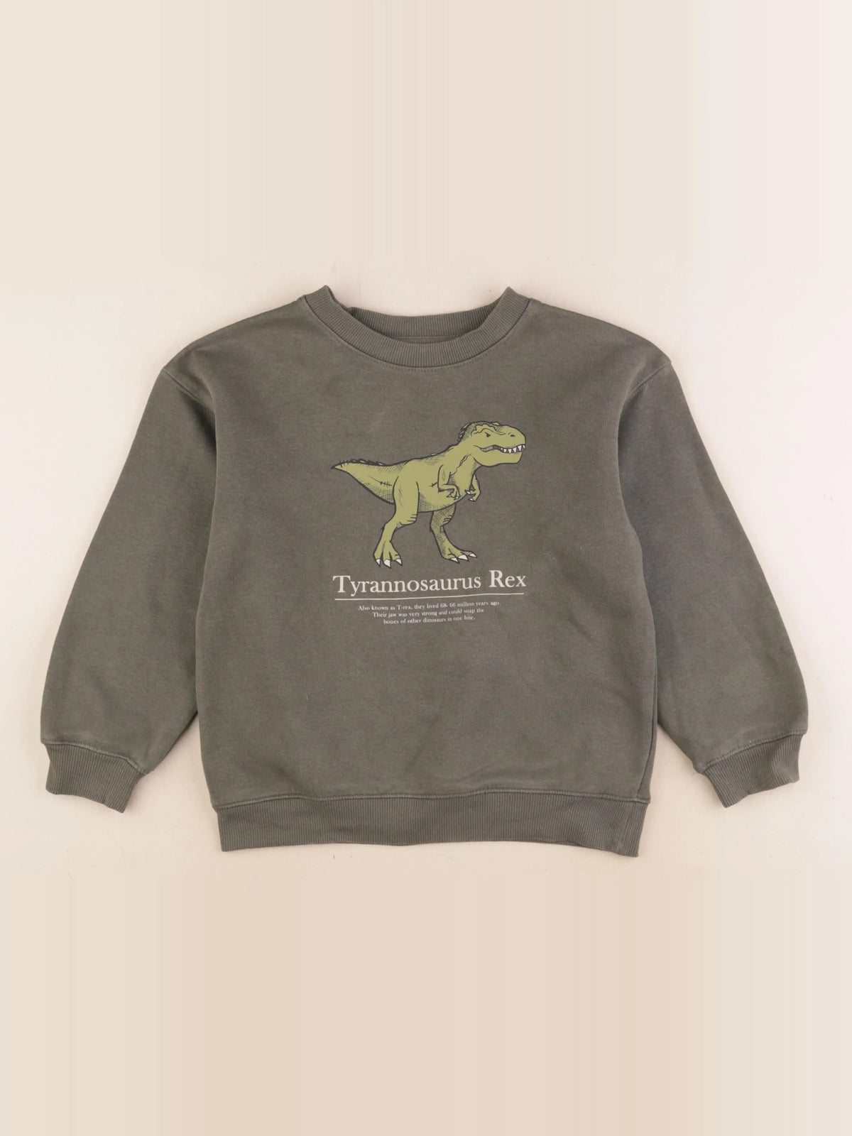 H&M - sweat vert - 6/7 ans