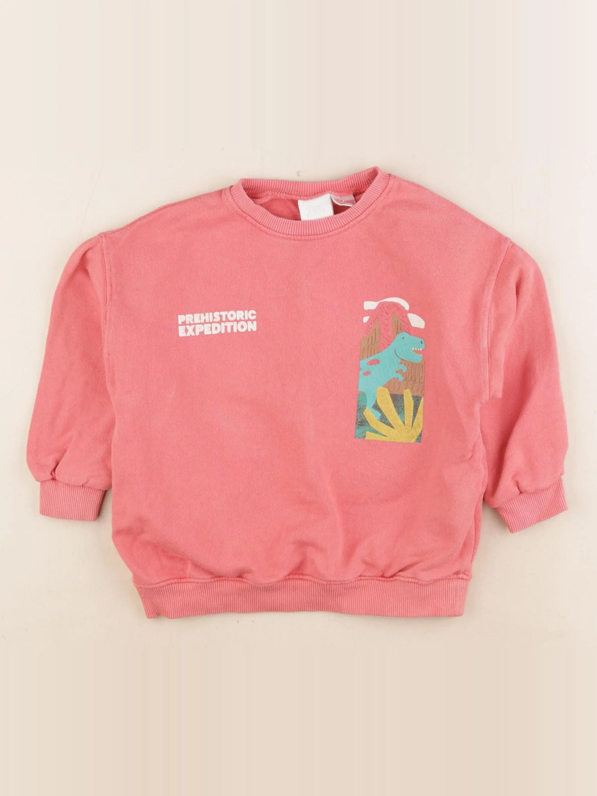 Zara - sweat imprimé au dos rose - 3 ans