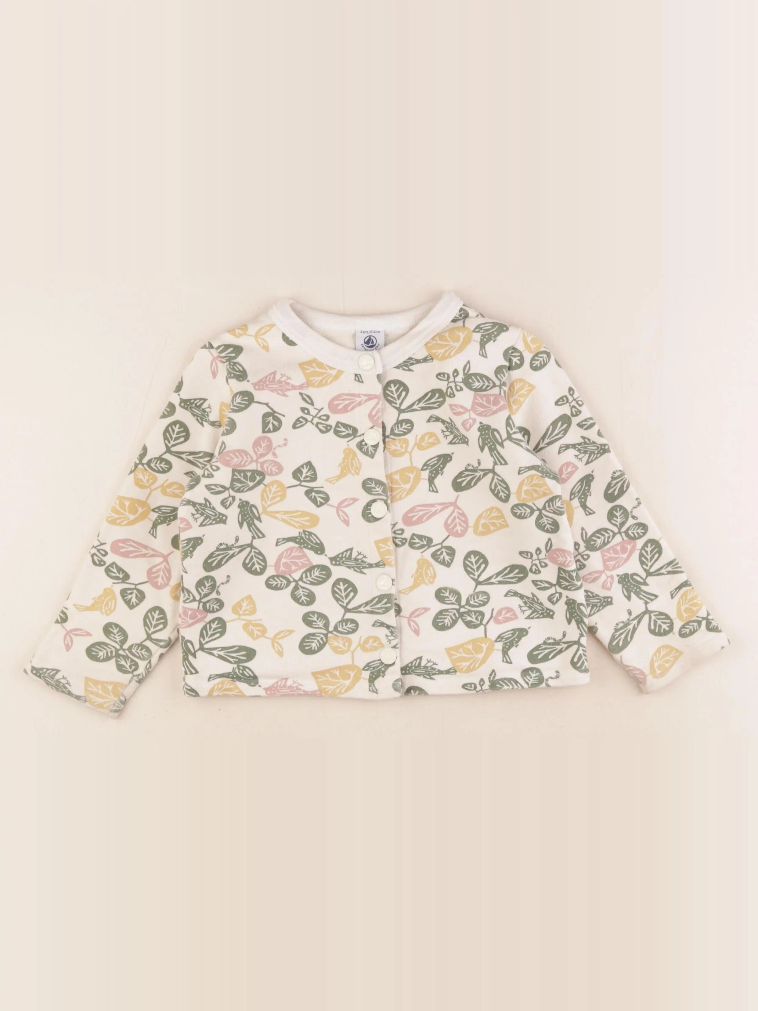 Petit Bateau - sweat multicolore - 4 ans