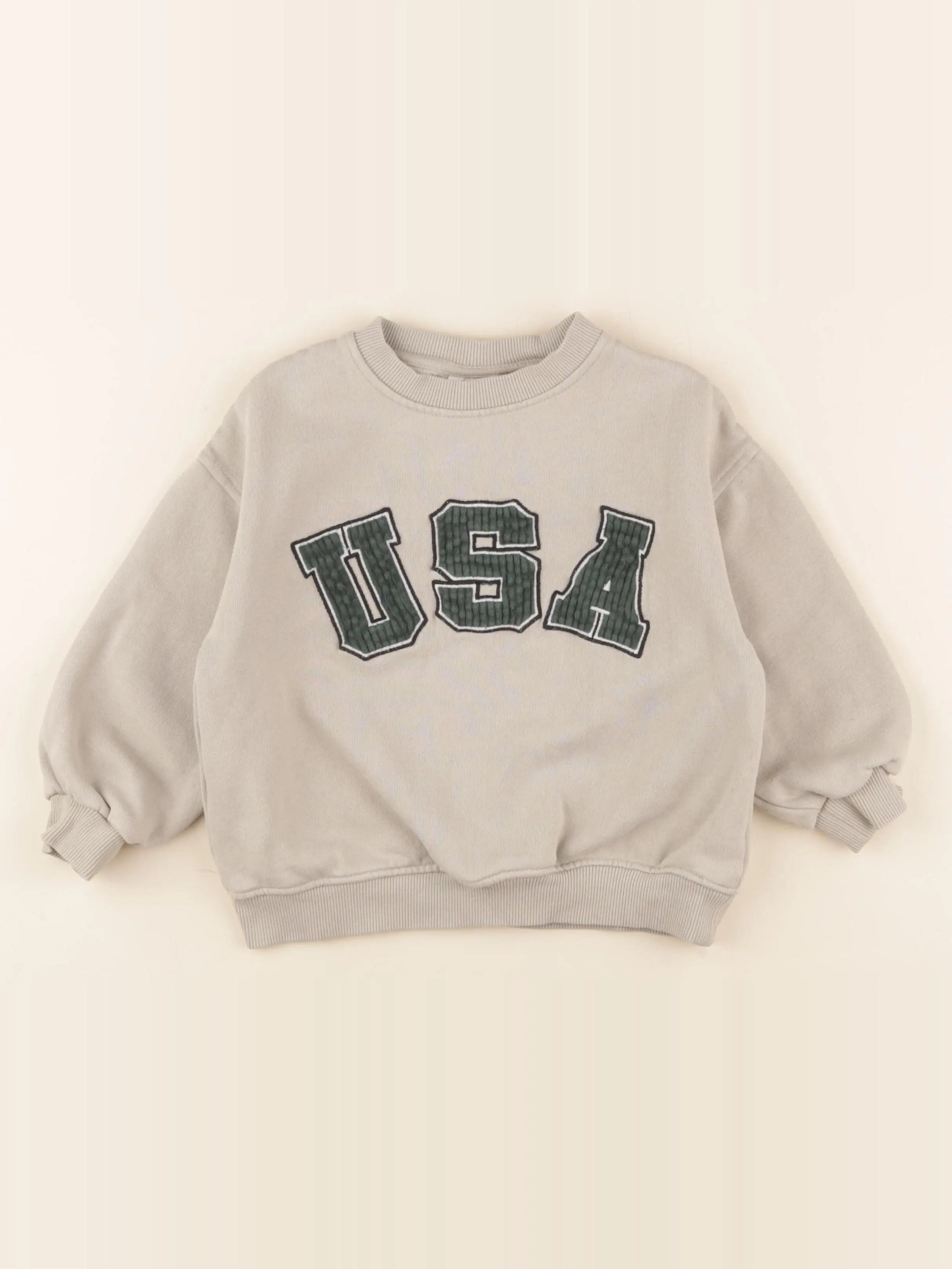 Zara - sweat gris - 5 ans