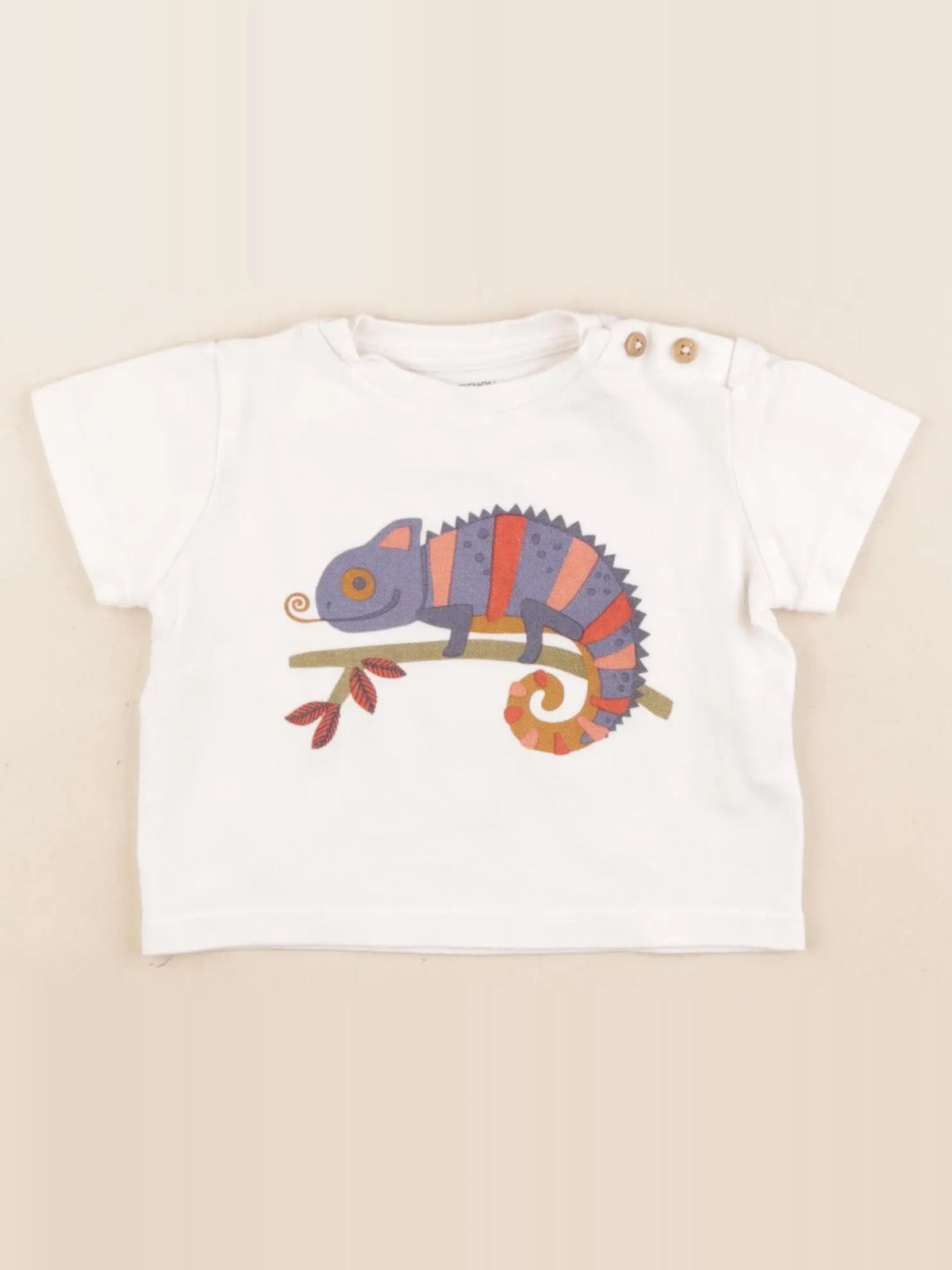 Boutchou - tee-shirt blanc - 9 mois
