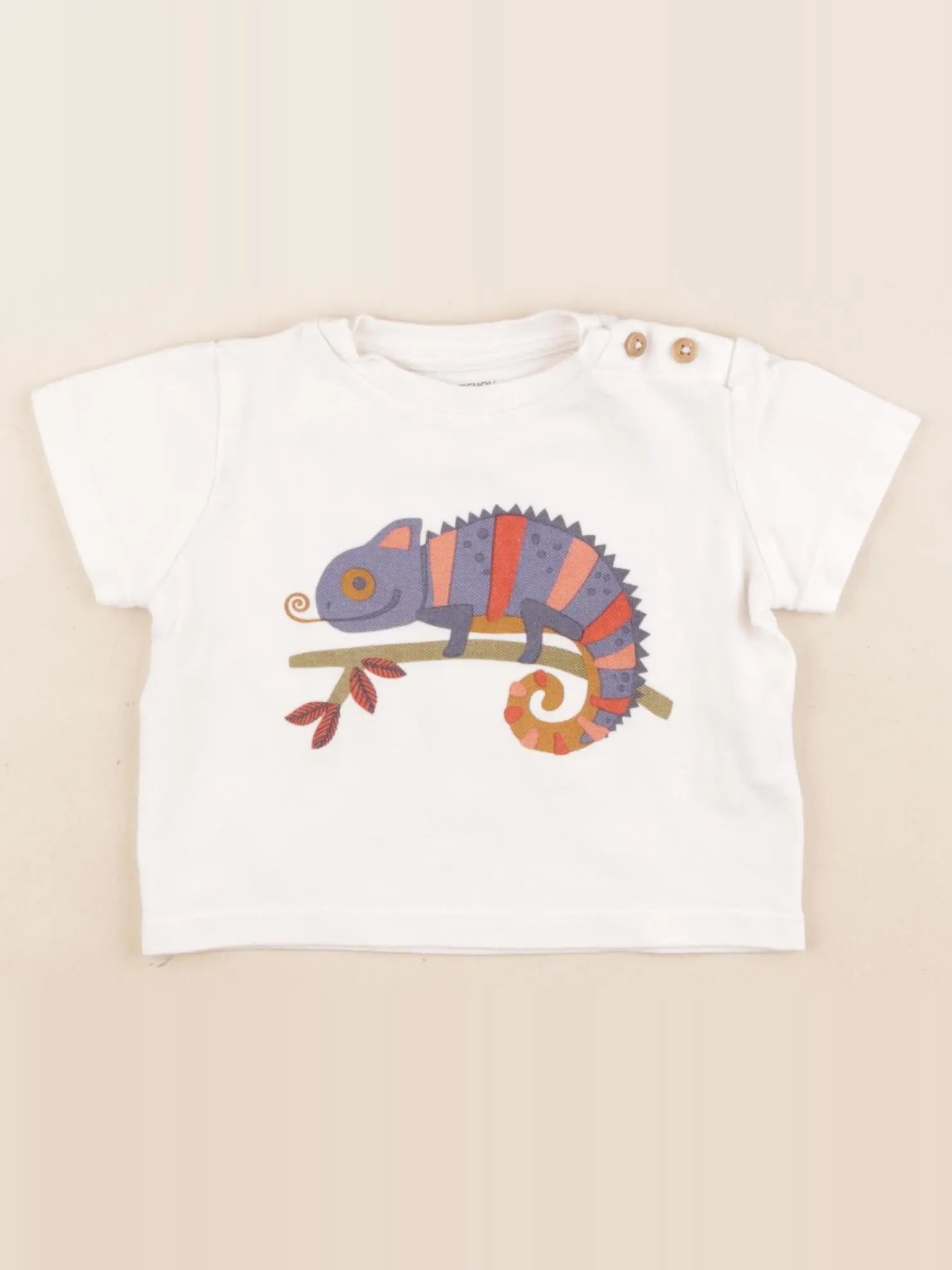 Boutchou - tee-shirt blanc - 9 mois