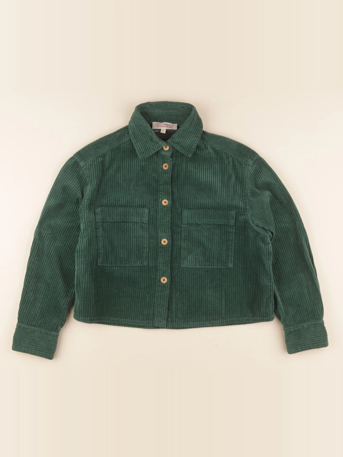 Veste vert