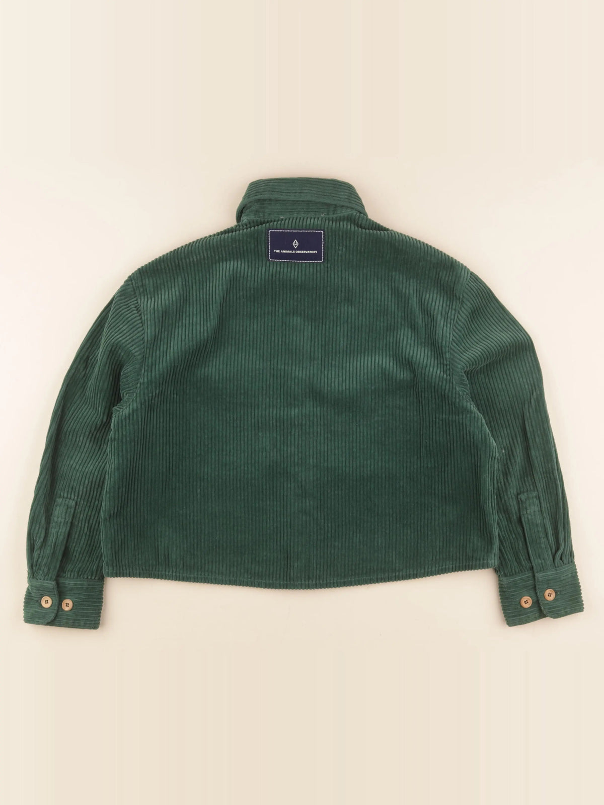 Veste vert