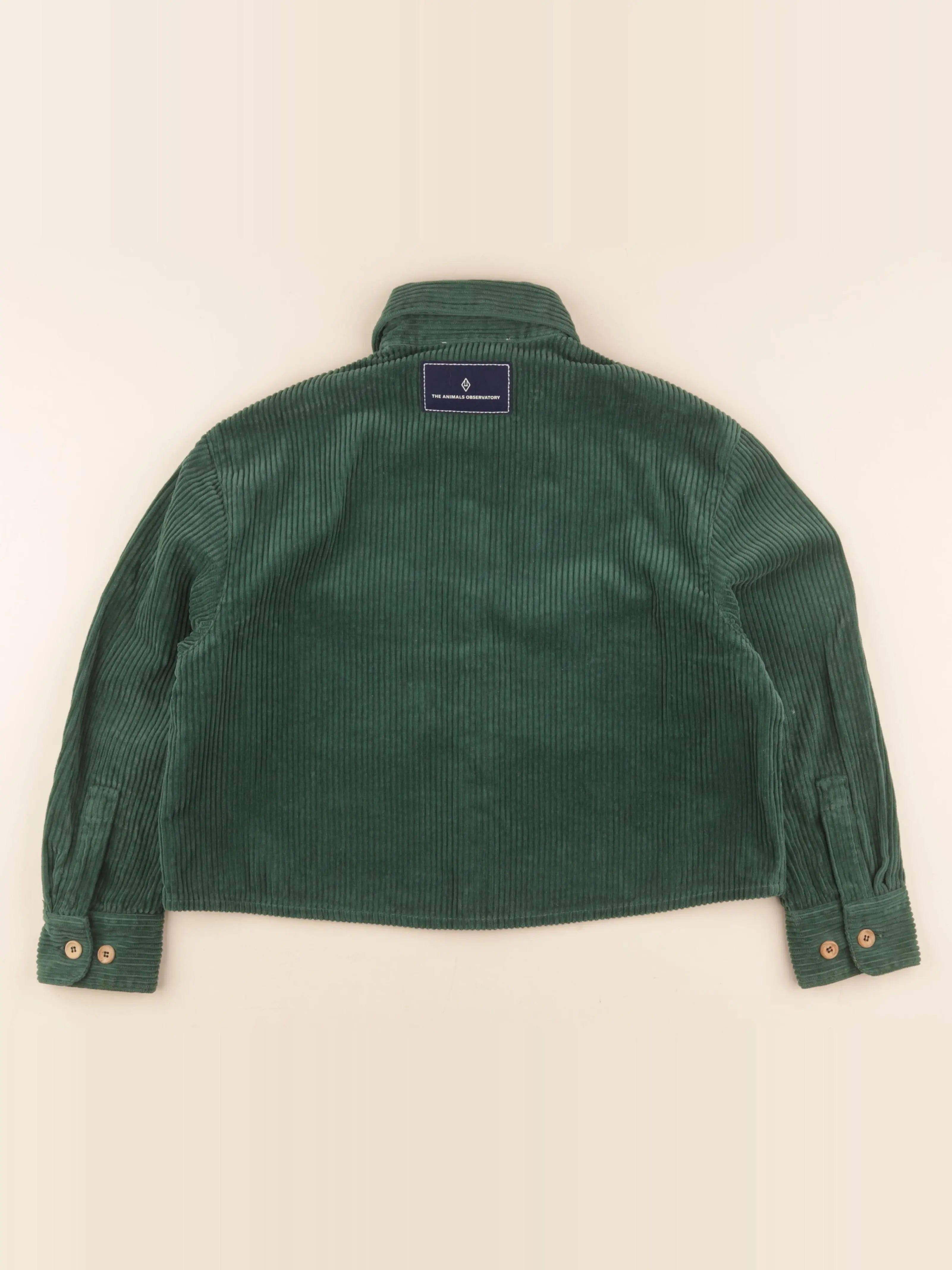 Veste vert