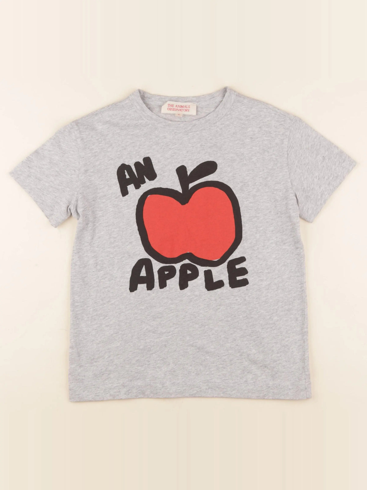 Tee-shirt gris