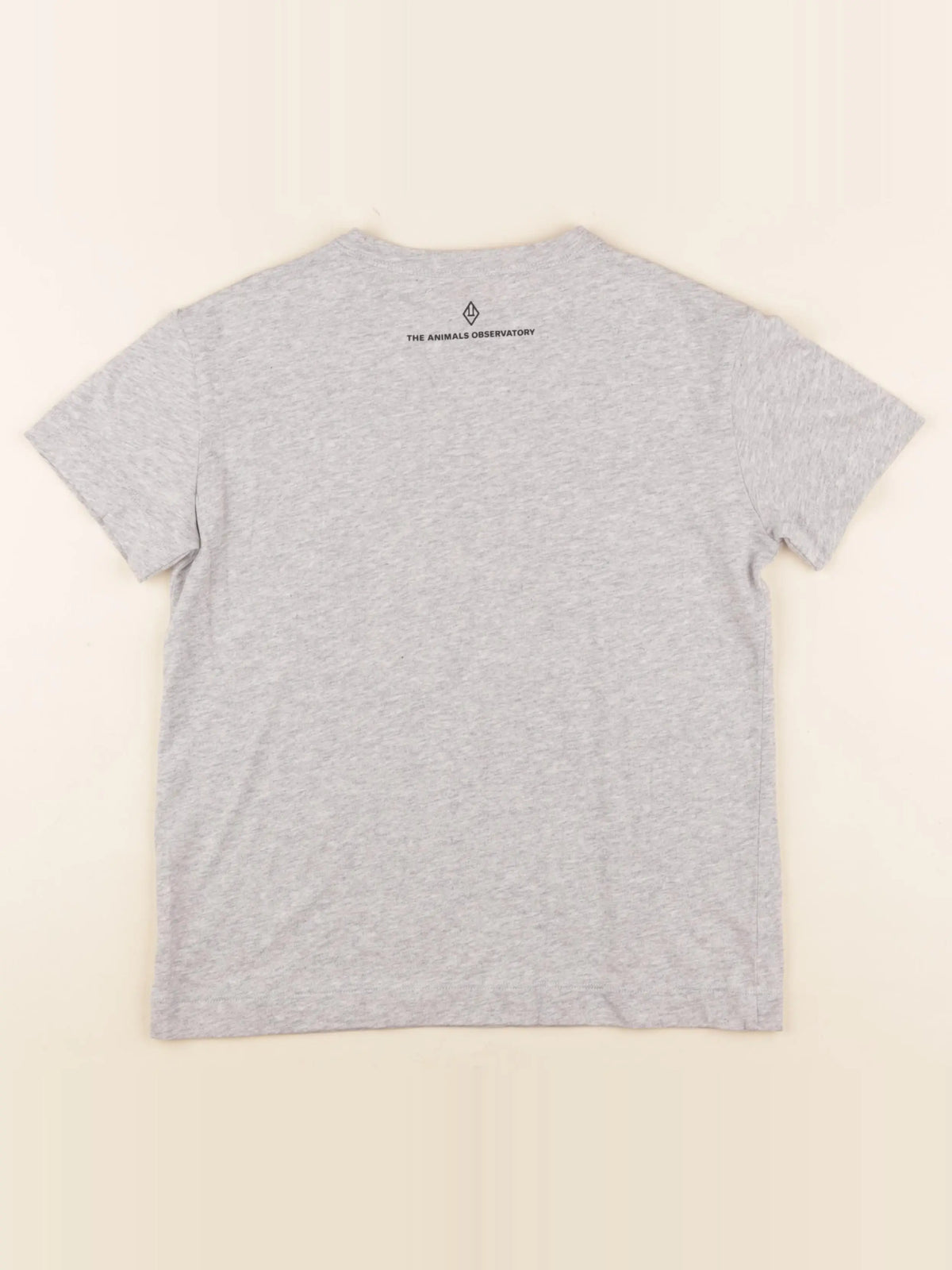 Tee-shirt gris