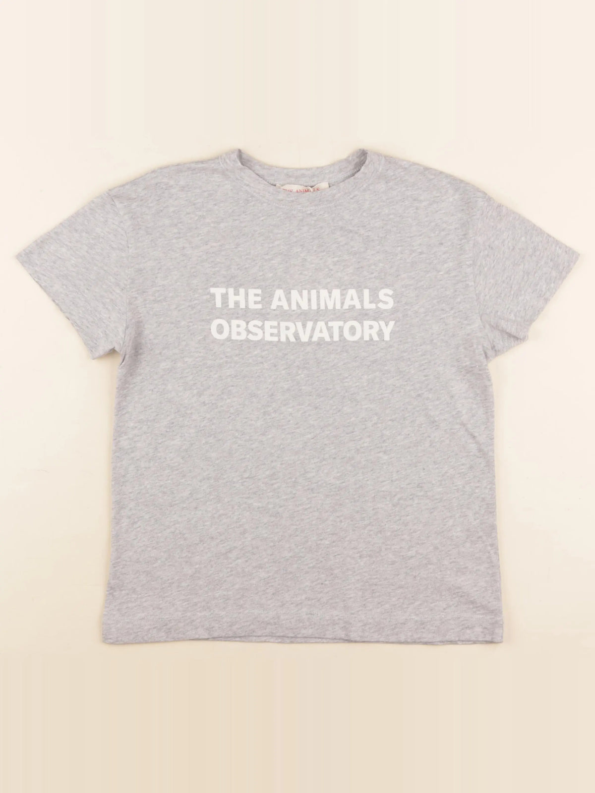 Tee-shirt gris