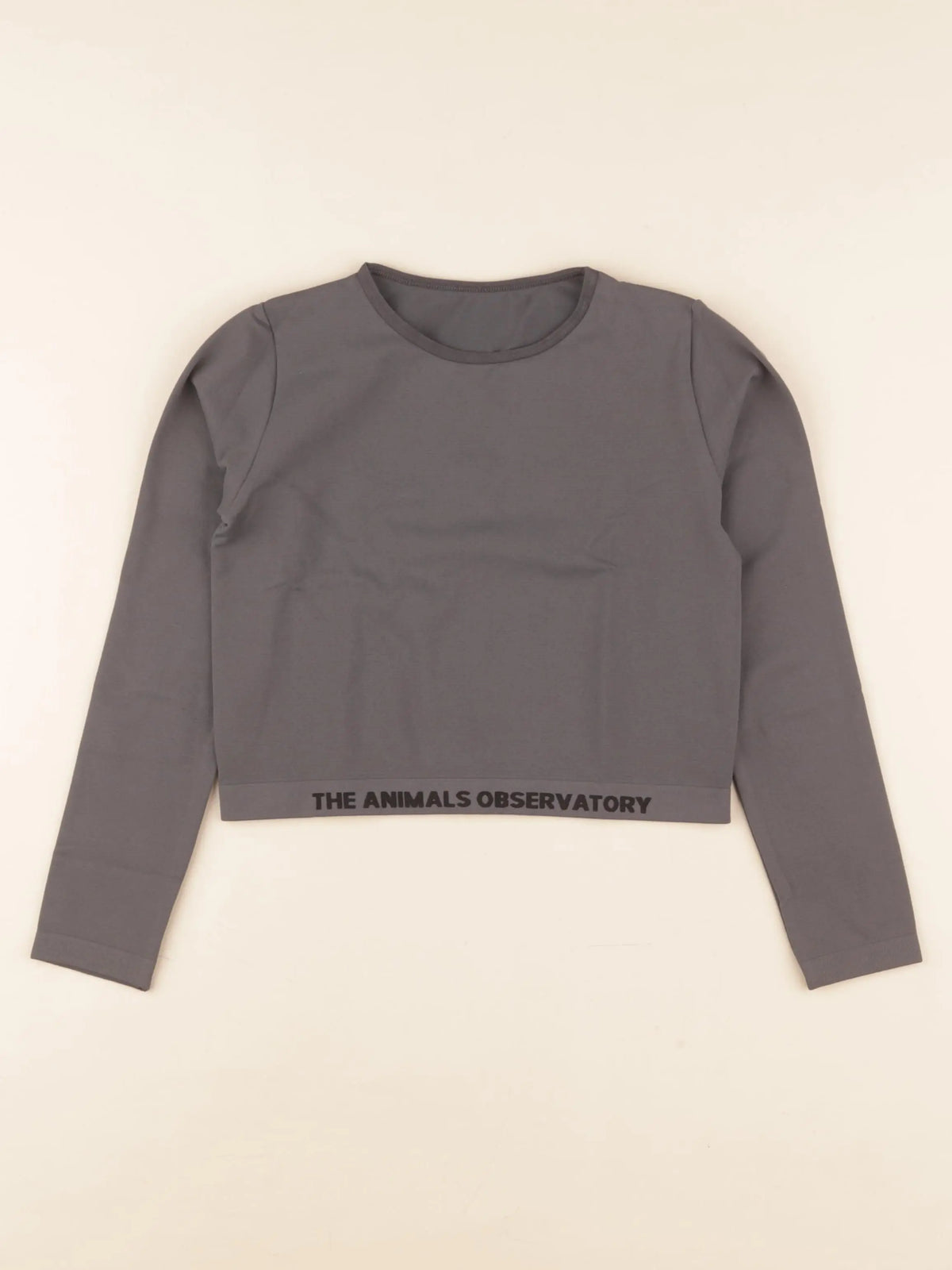 Tee-shirt gris