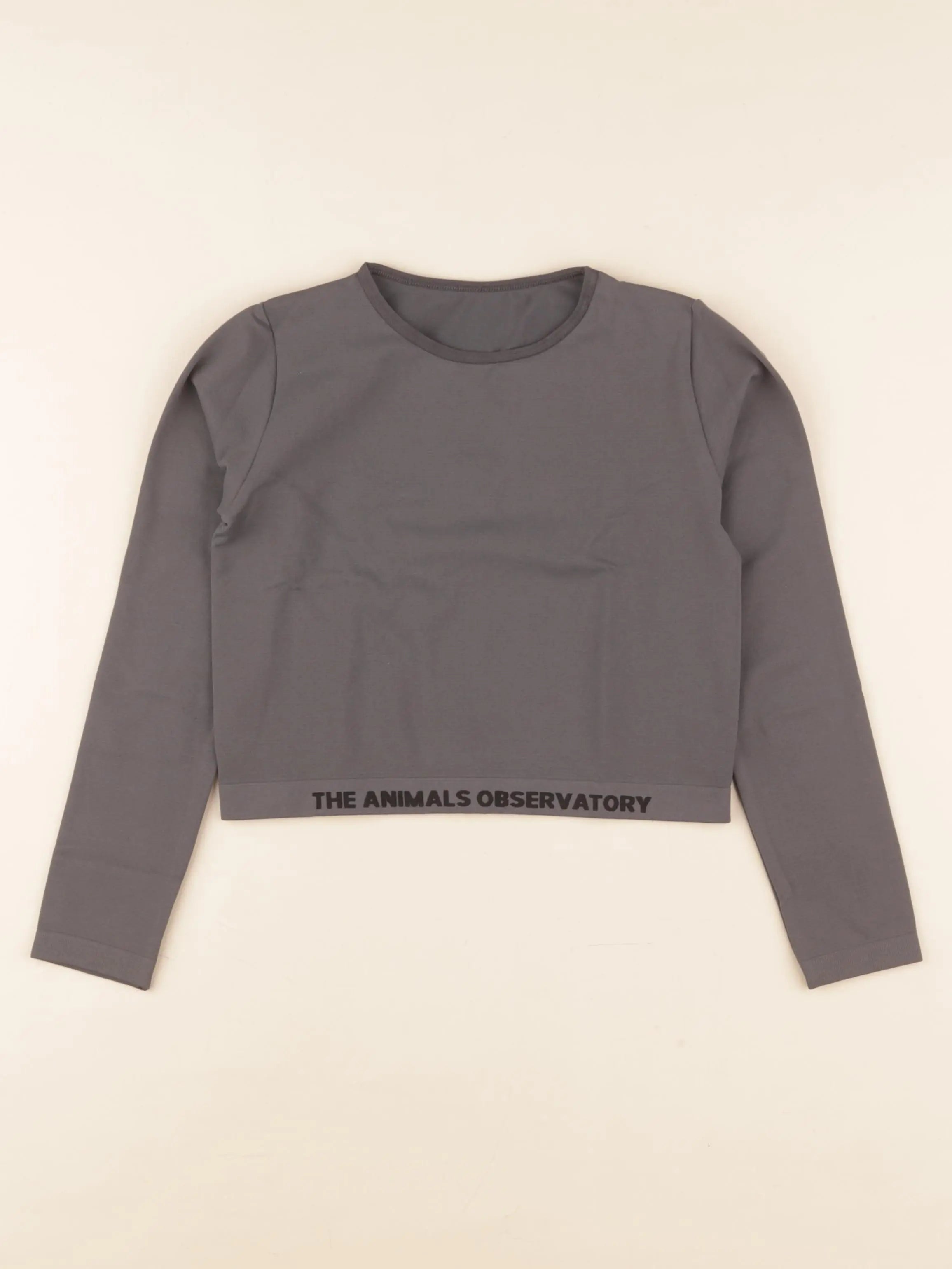 Tee-shirt gris