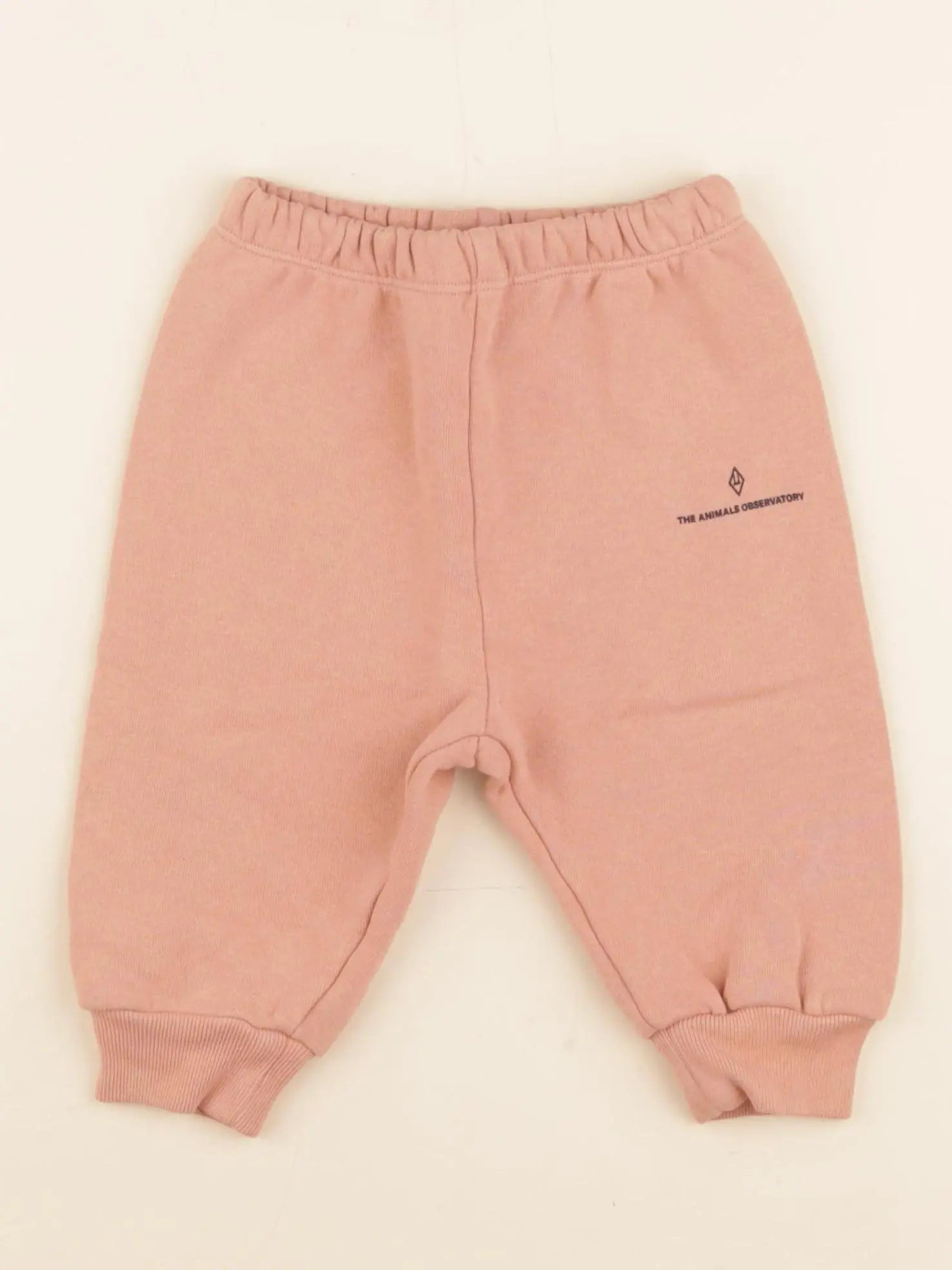 Jogging rose