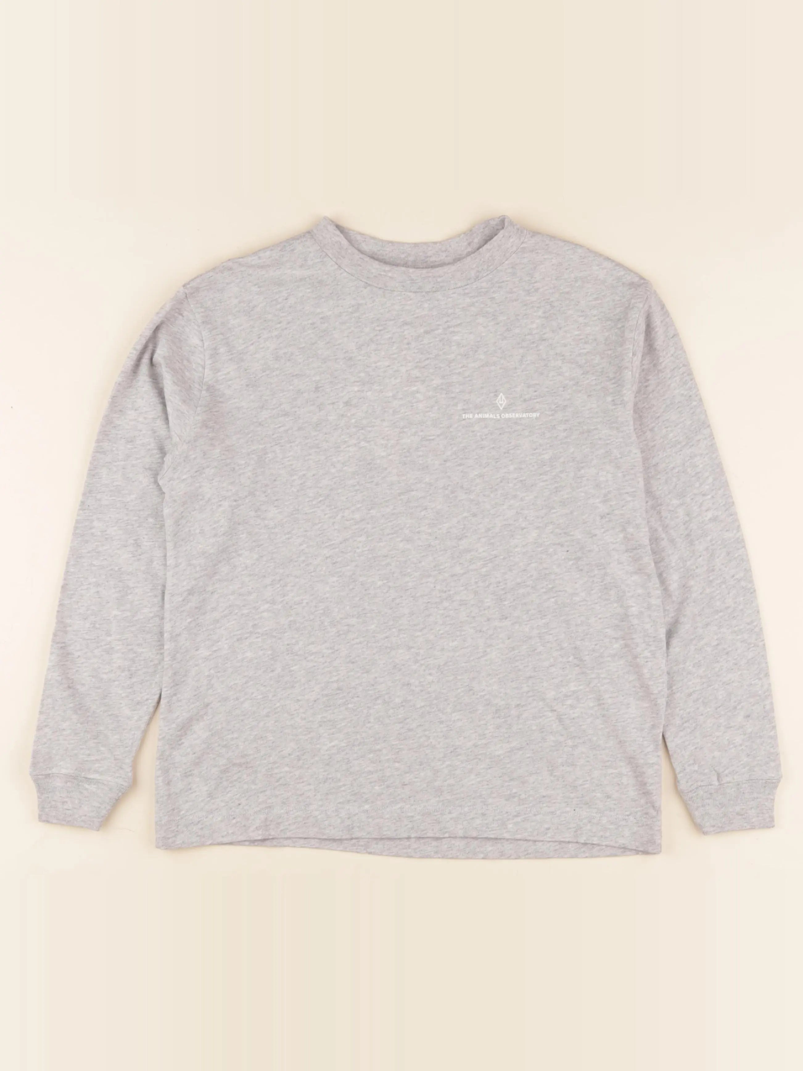 Tee-shirt gris