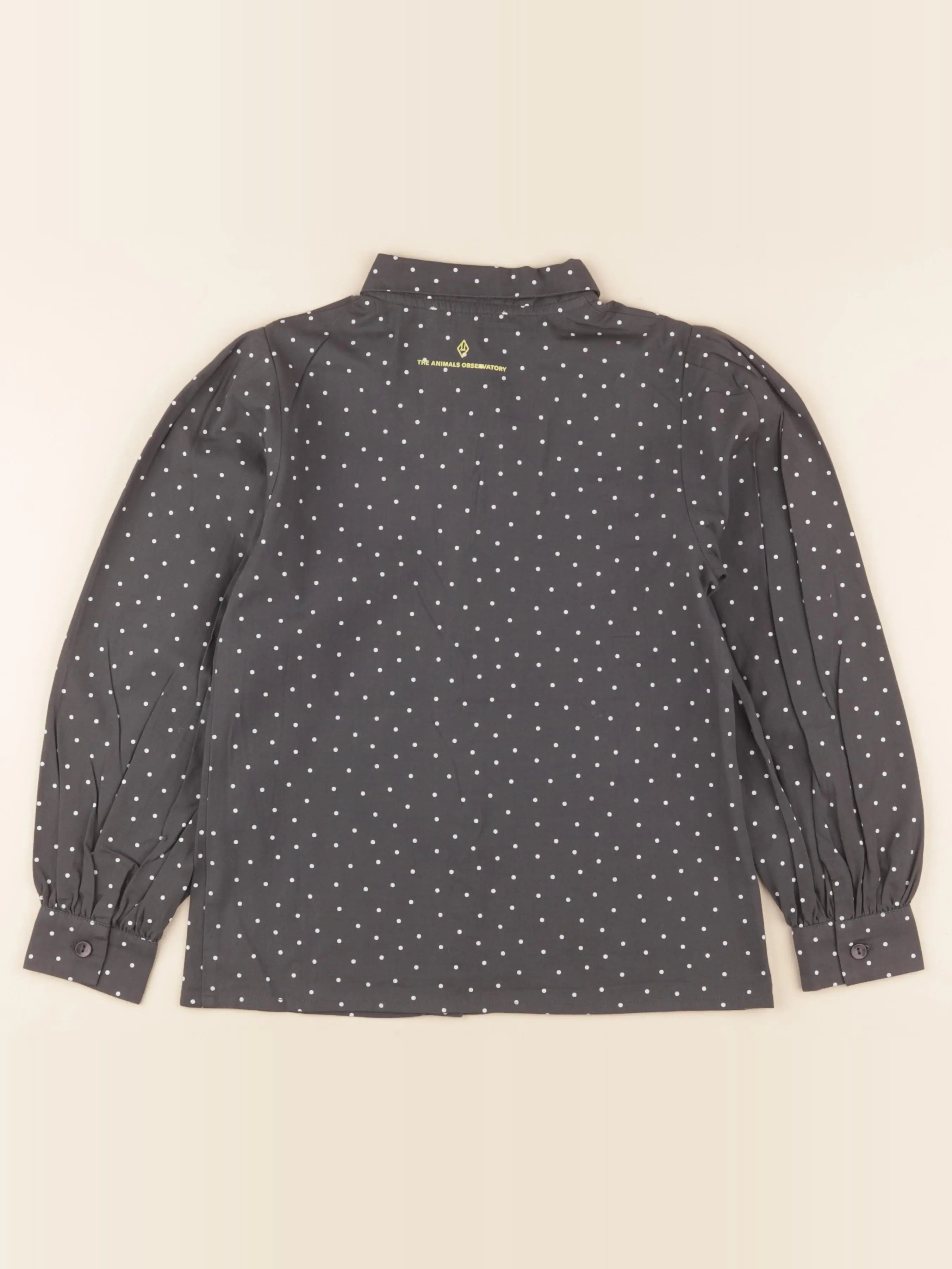 Blouse gris