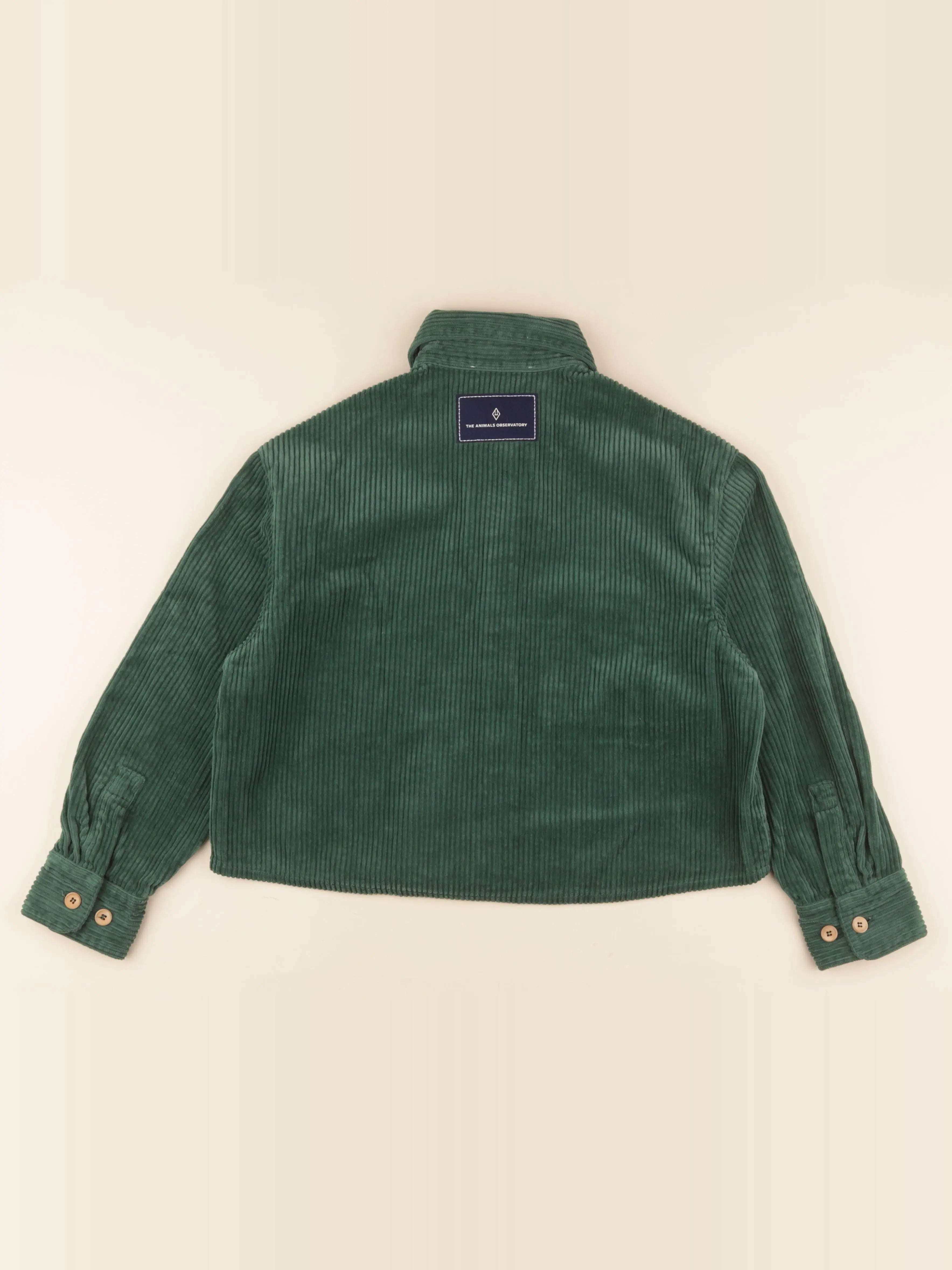 Veste vert